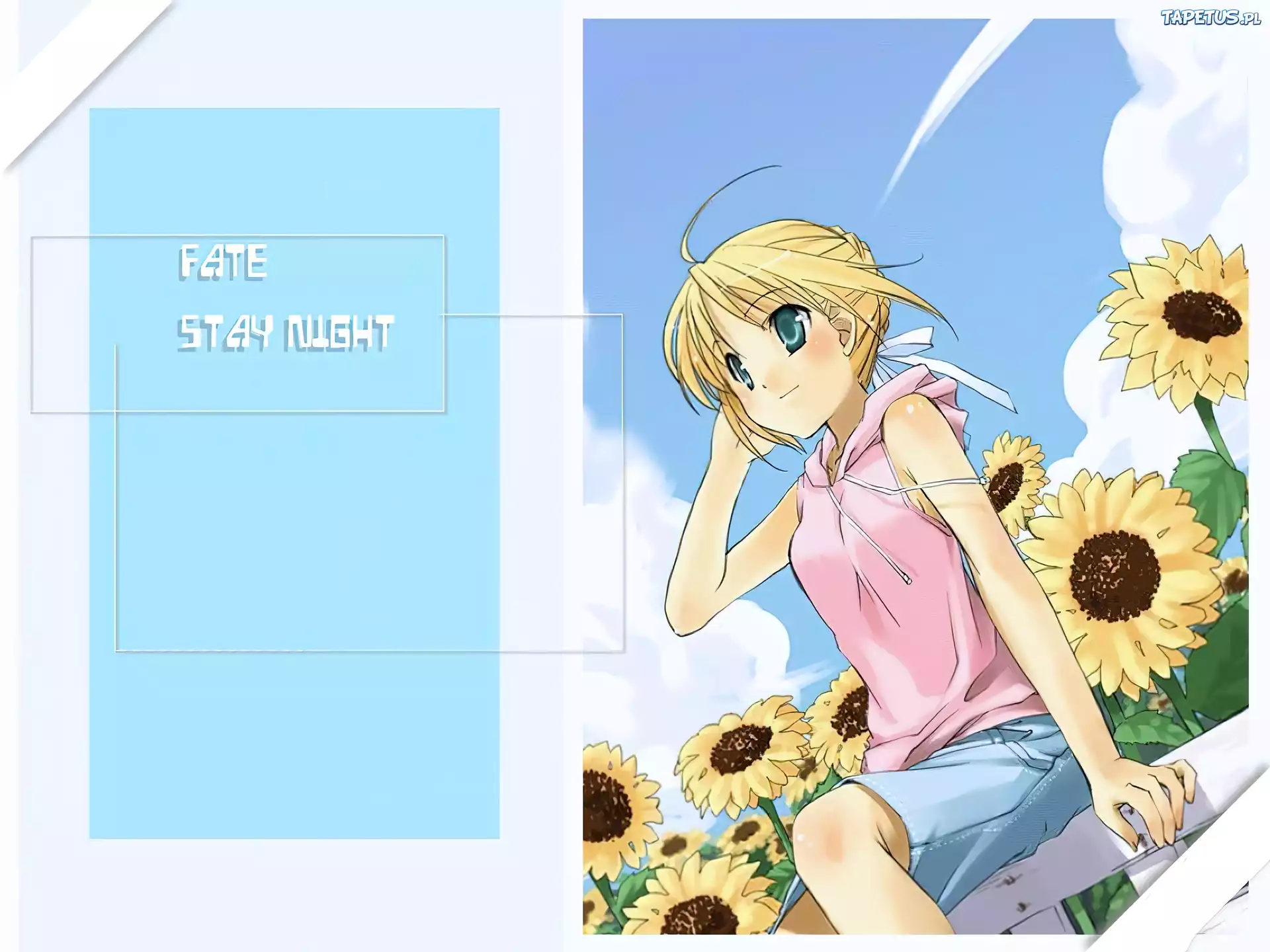 Fate Stay Night, napis, dziewczyna, słoneczniki