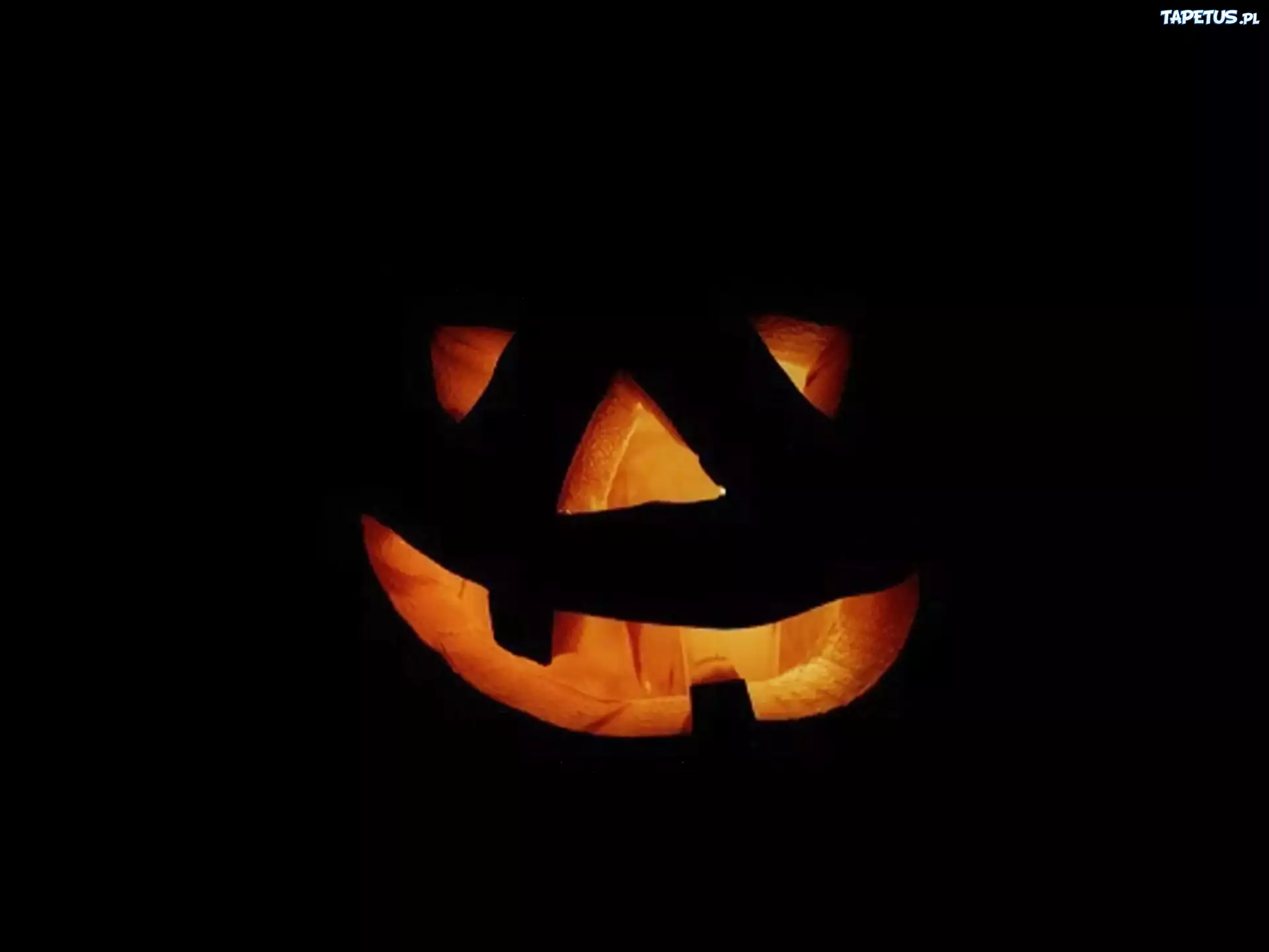 Halloween,dynia