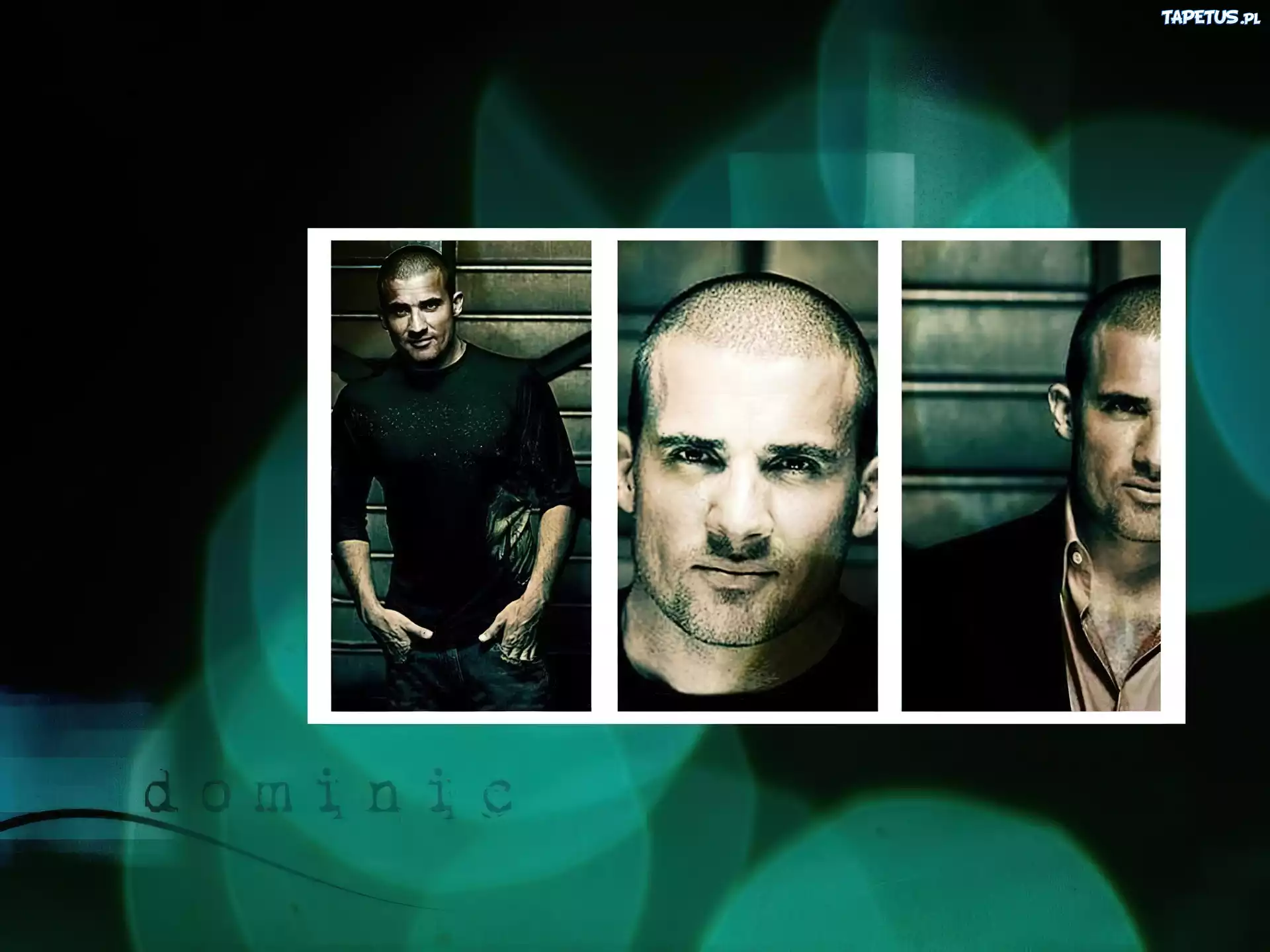 Prison Break, Skazany na śmierć, zdjęcia, Dominic Purcell