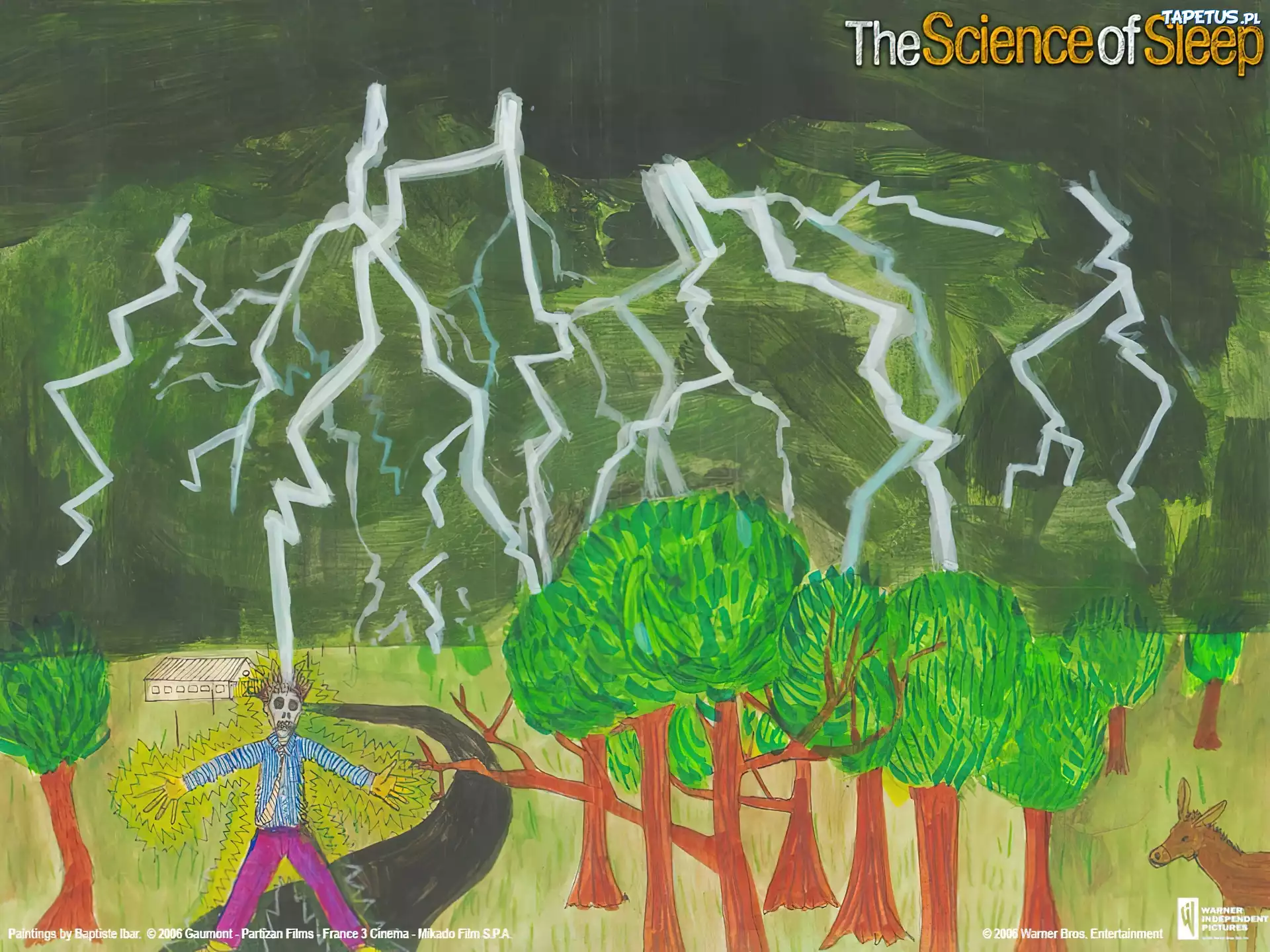 The Science Of Sleep, burza, pioruny, porażenie, ofiara, drzewa