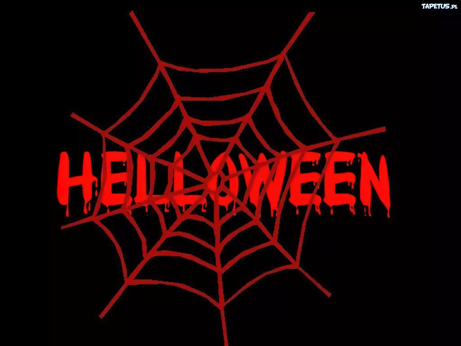 Halloween,pajęczyna