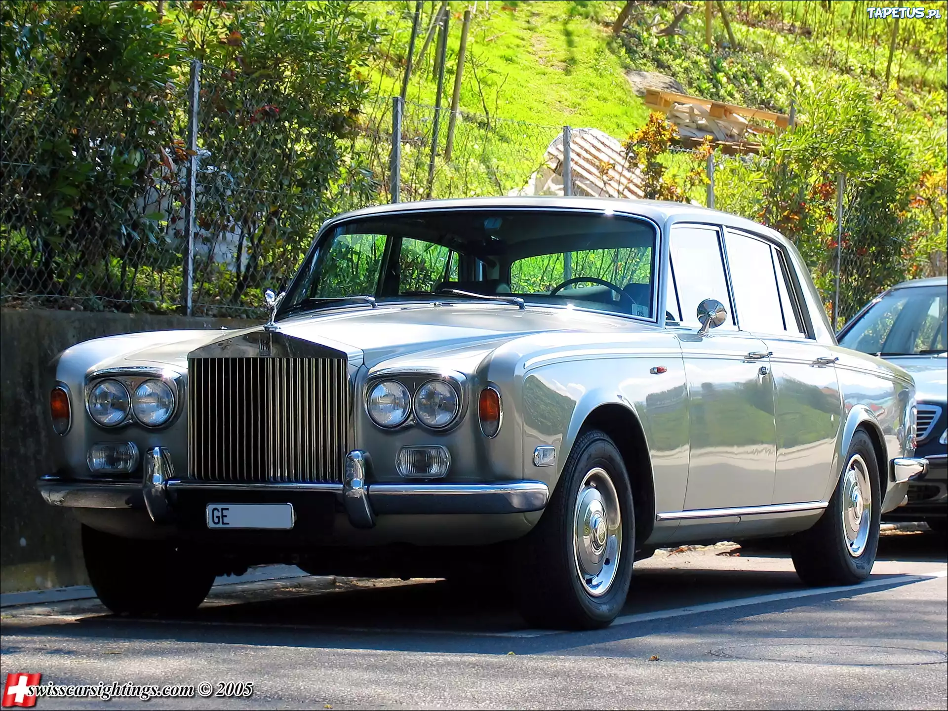 Rolls-Royce,drzewa