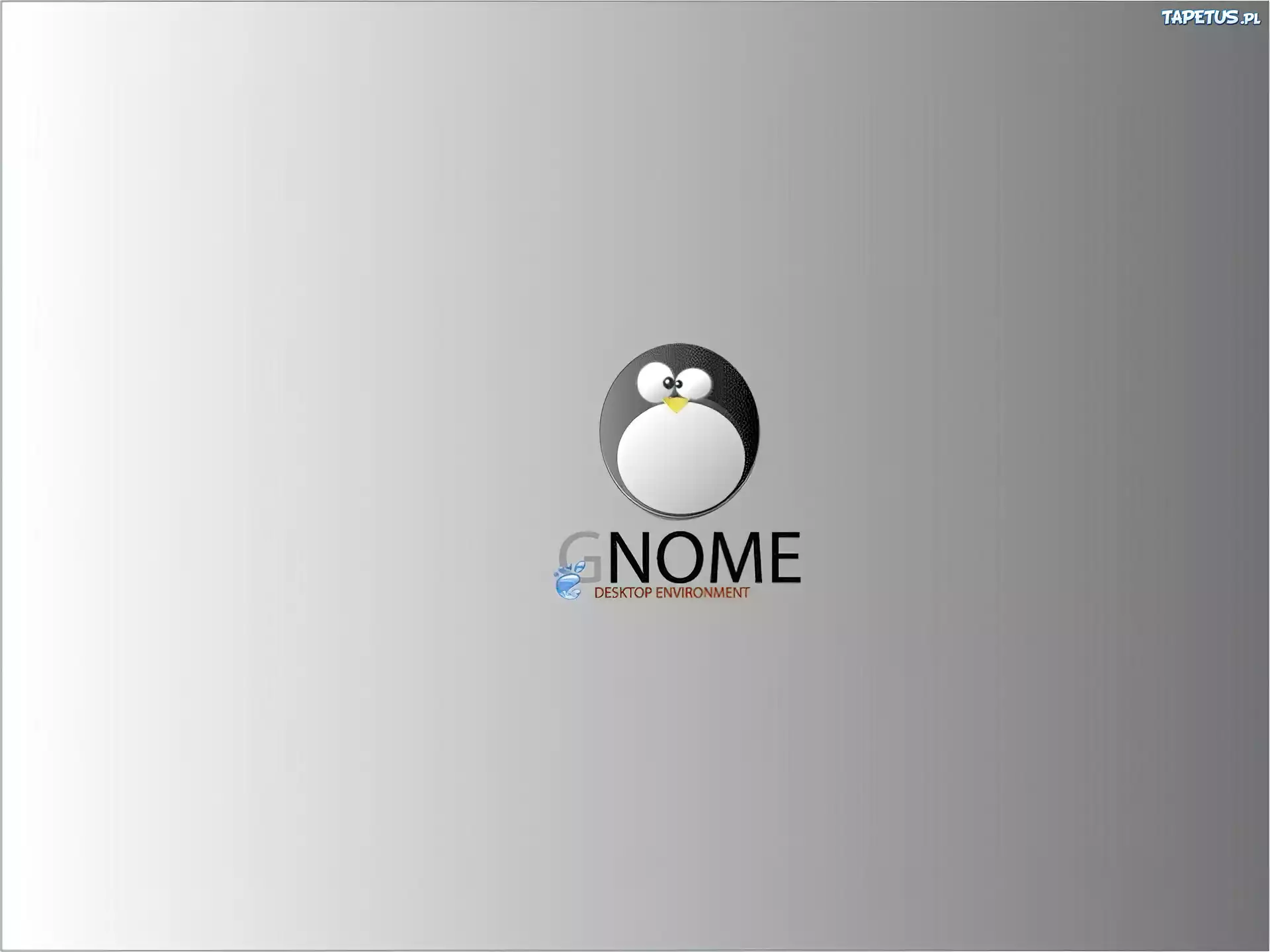 Gnome, pingwin, grafika