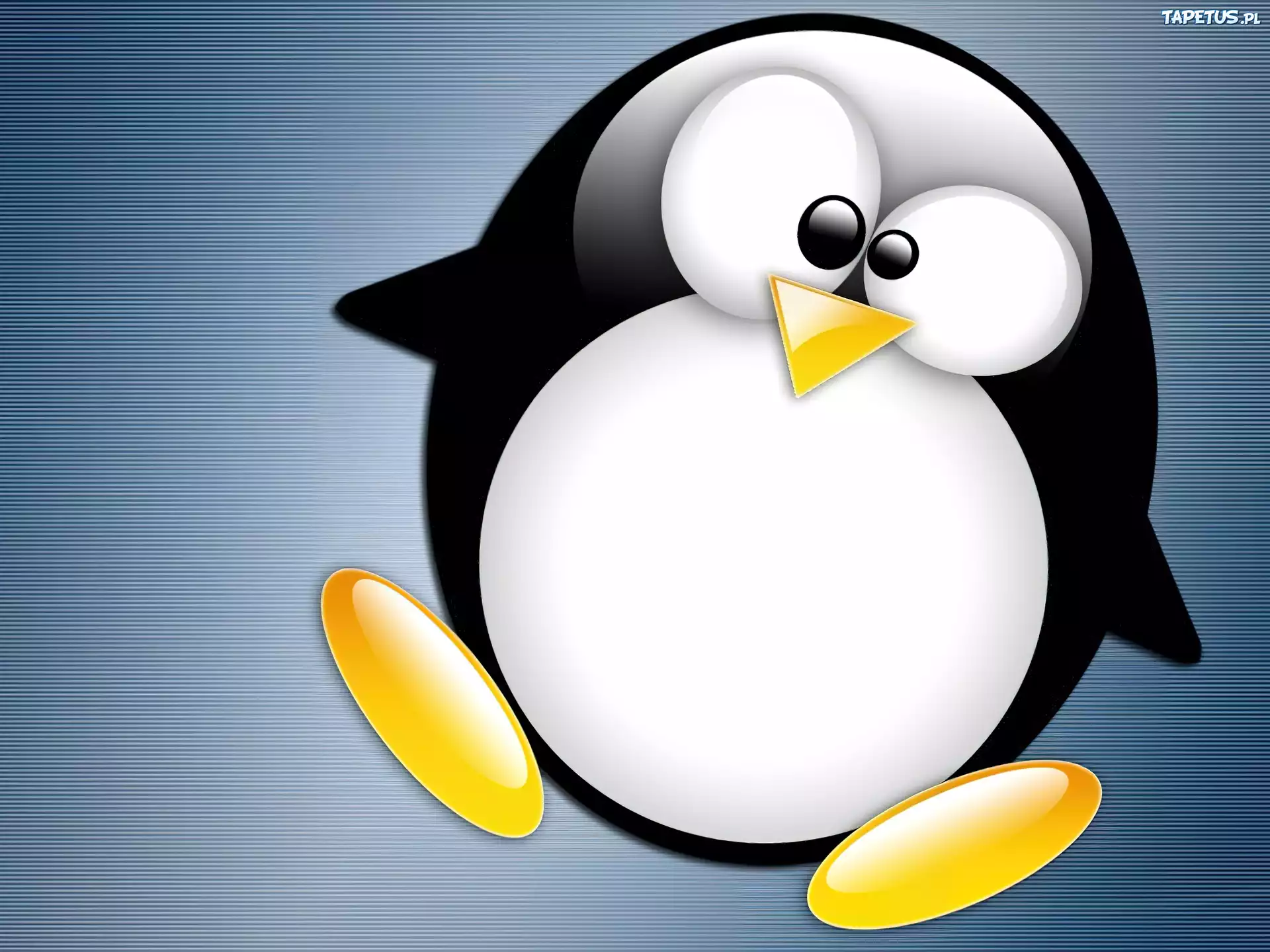 Linux, Pigwin, Pigwinek