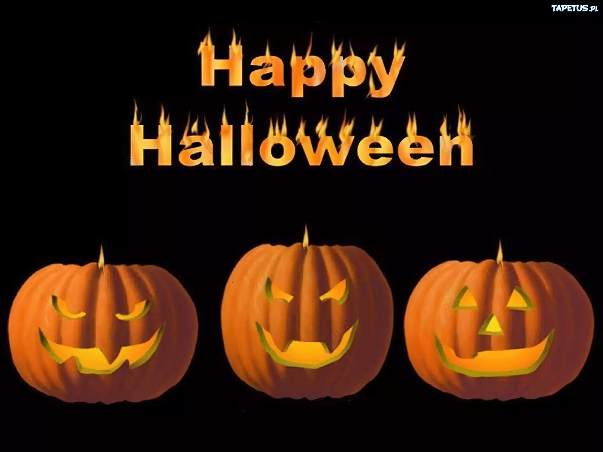 Halloween,dynie