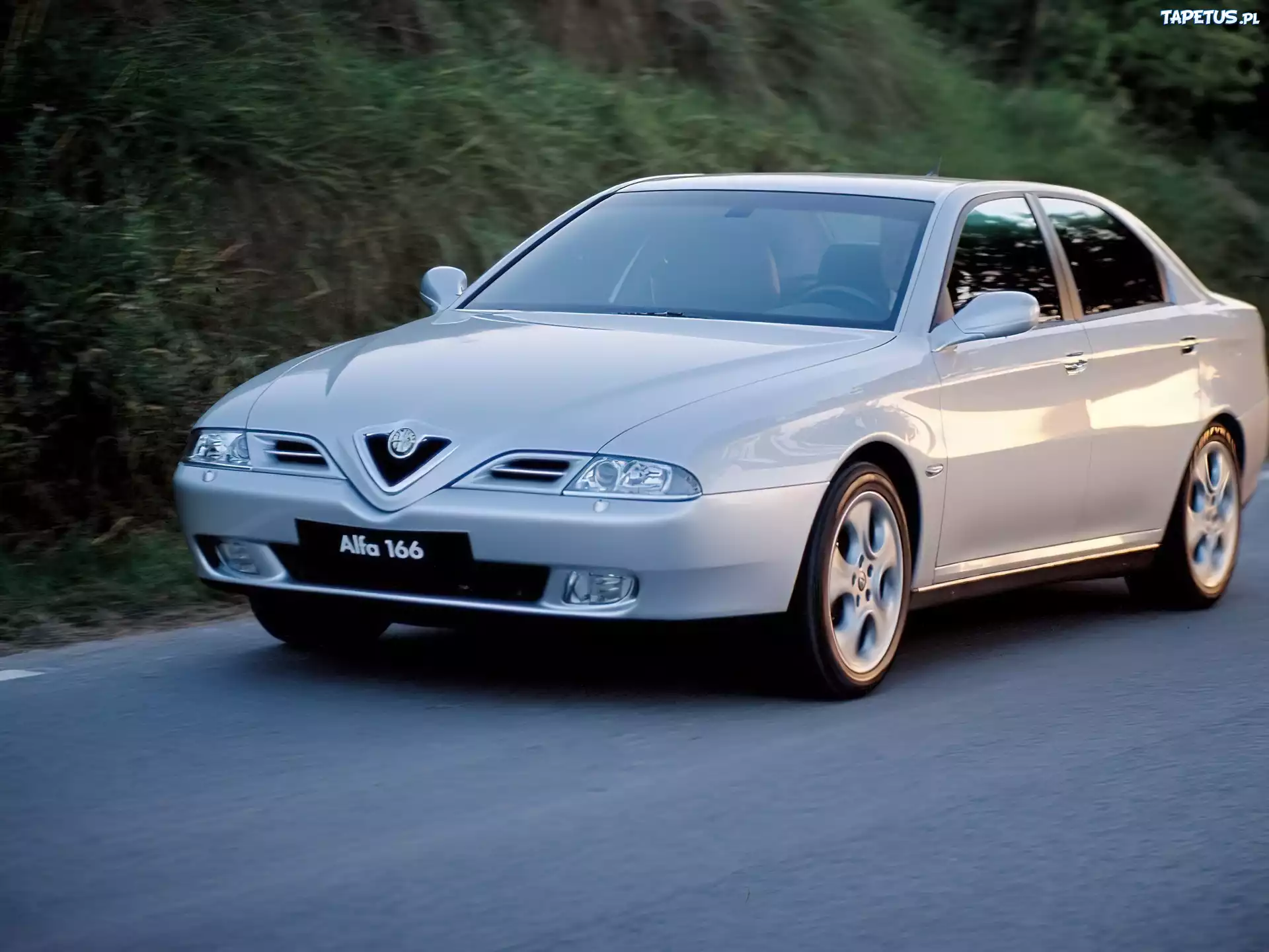 Srebrna, Alfa Romeo 166