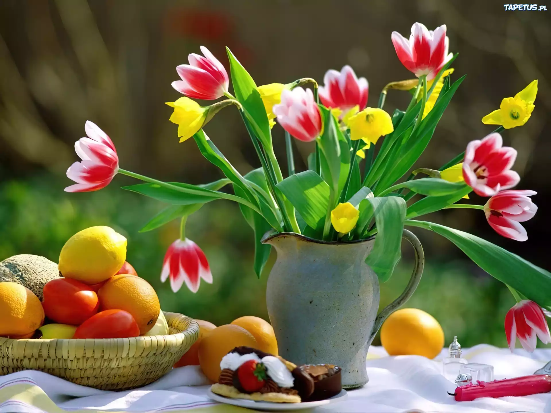 Tulipany