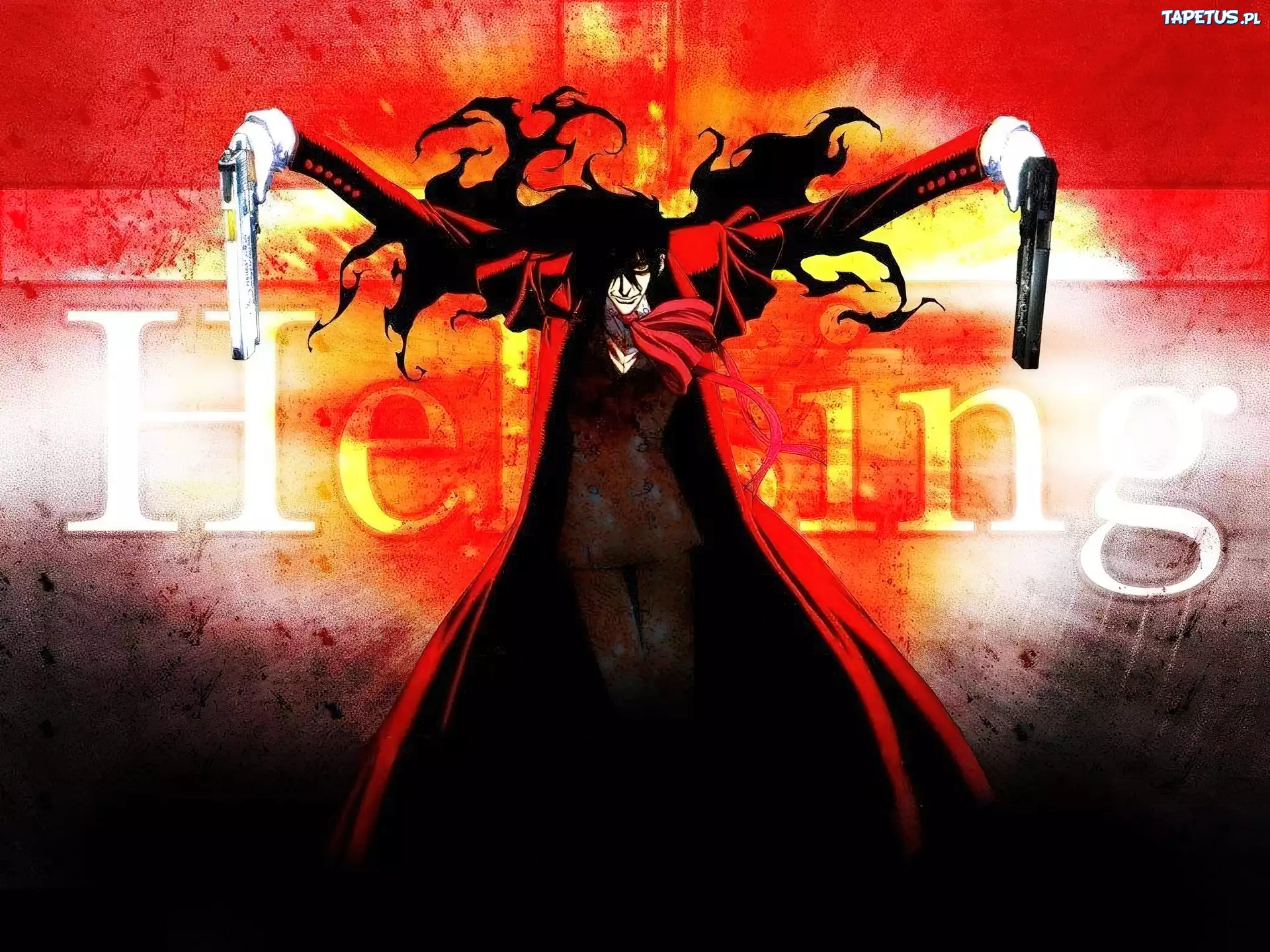 Hellsing, płaszcz, broń, postać