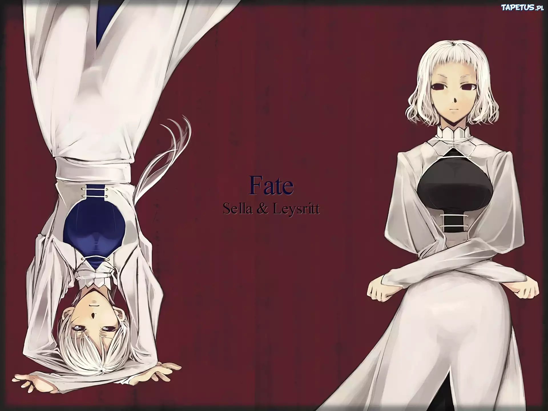 Fate Stay Night, napis, kobiety, suknie