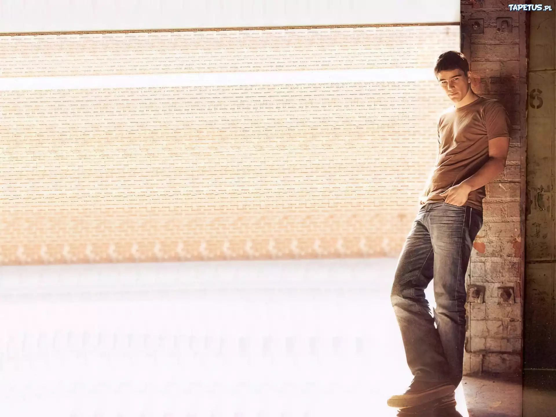 Josh Hartnett,brązowa koszulka, jeansy
