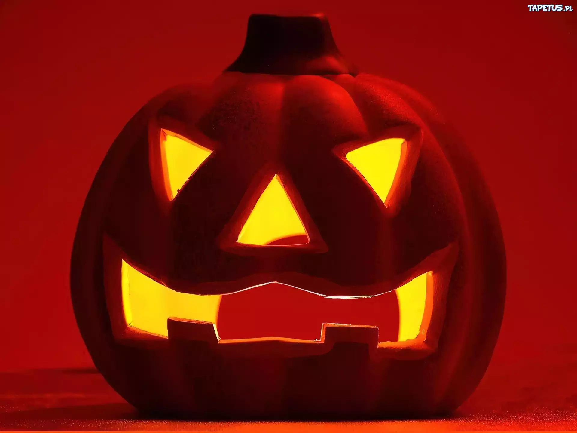 Halloween,dynia