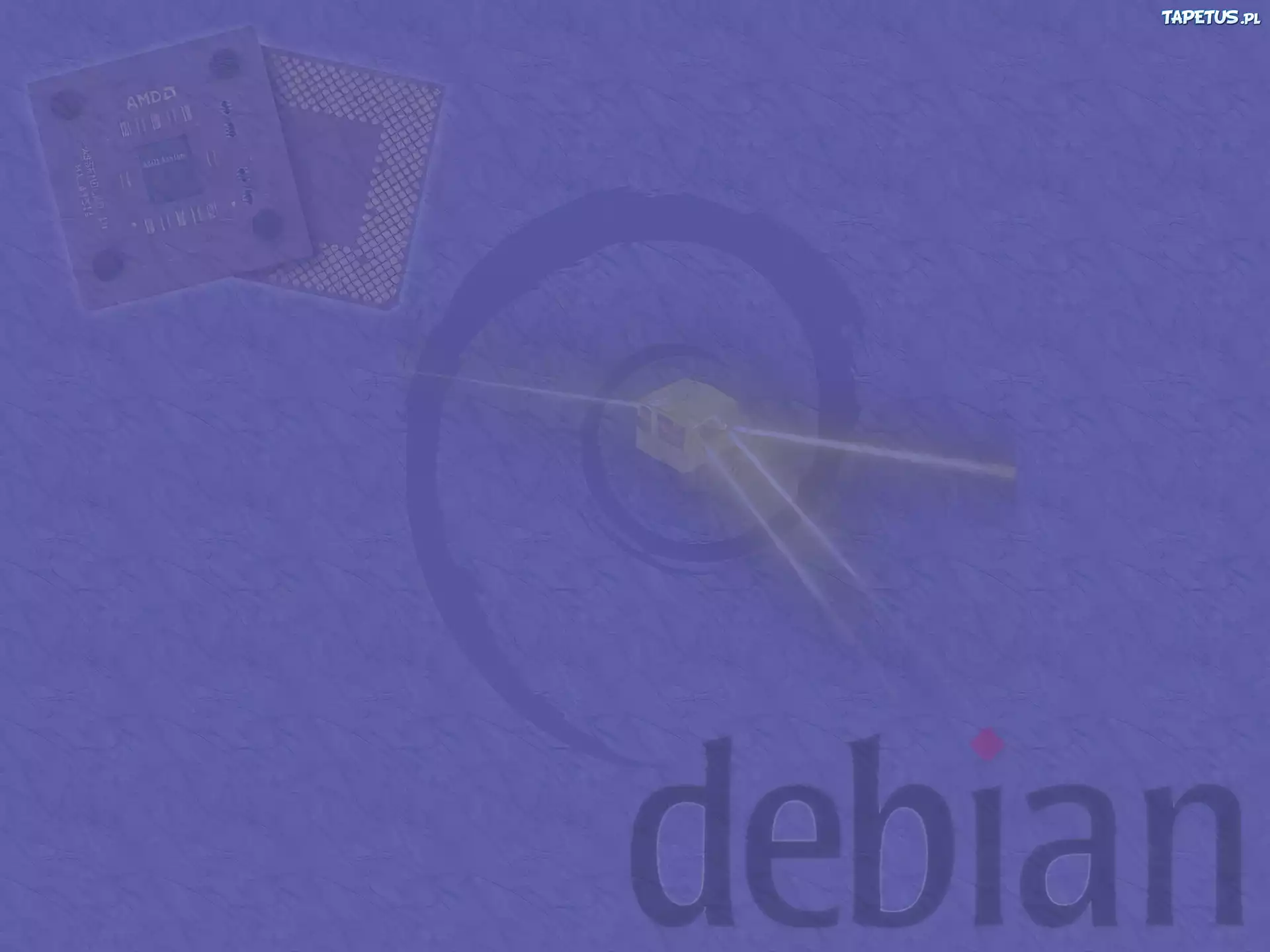 Linux Debian, grafika, muszla, ślimak, zawijas