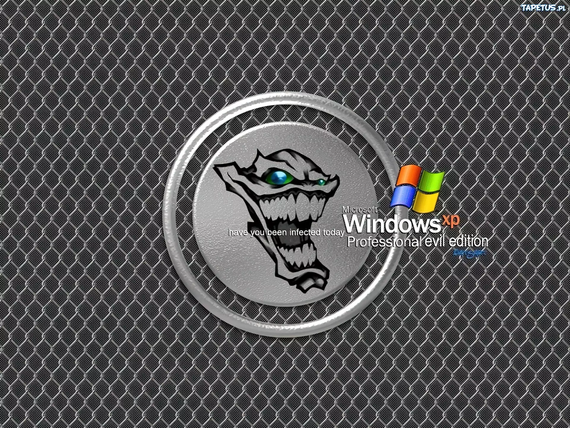 Windows XP