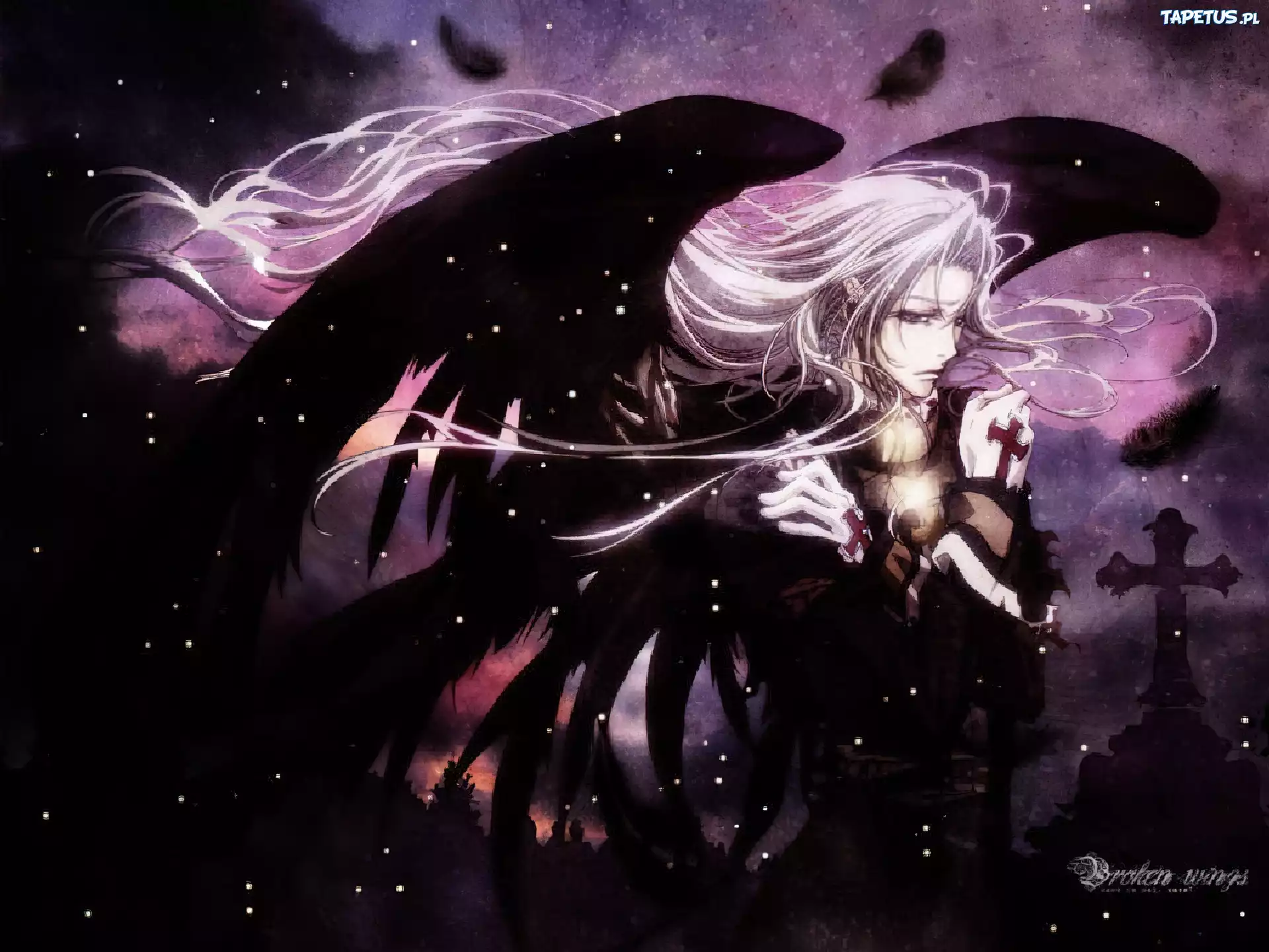 Trinity Blood, krzyż, noc, skrzydła