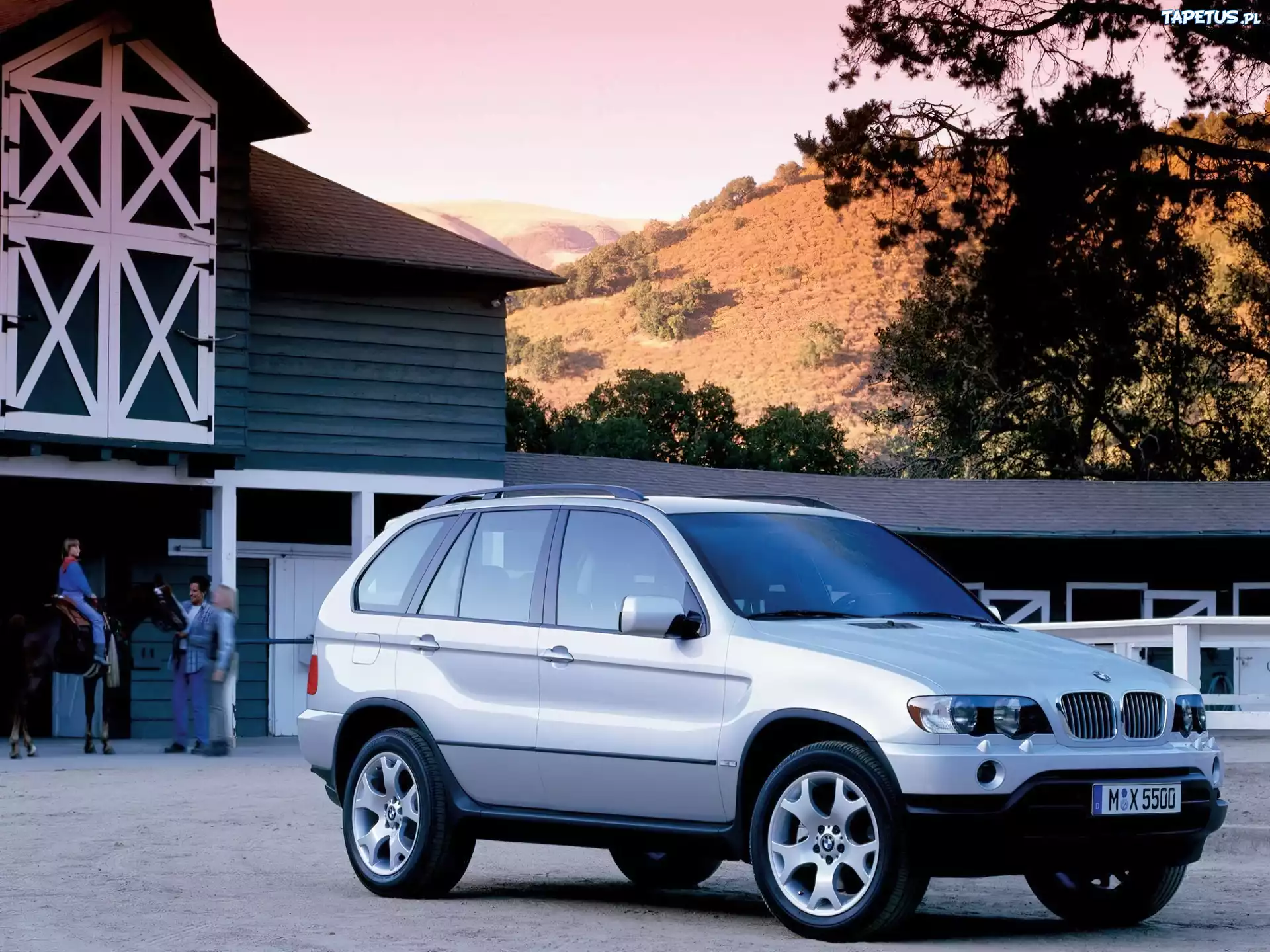 Srebrny, BMW X5, Stajnia