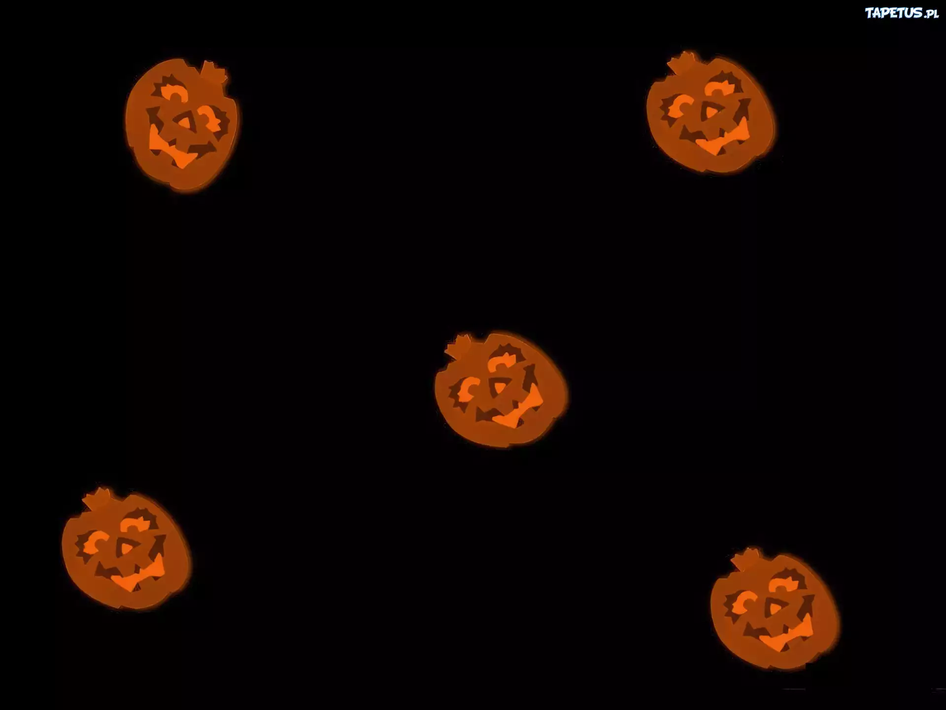 Halloween,dynie