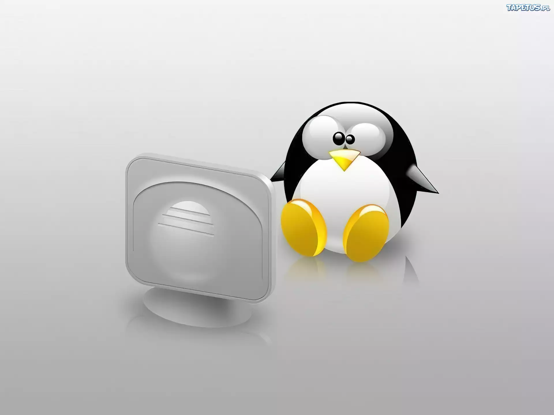 Linux, grafika, monitor, pingwin