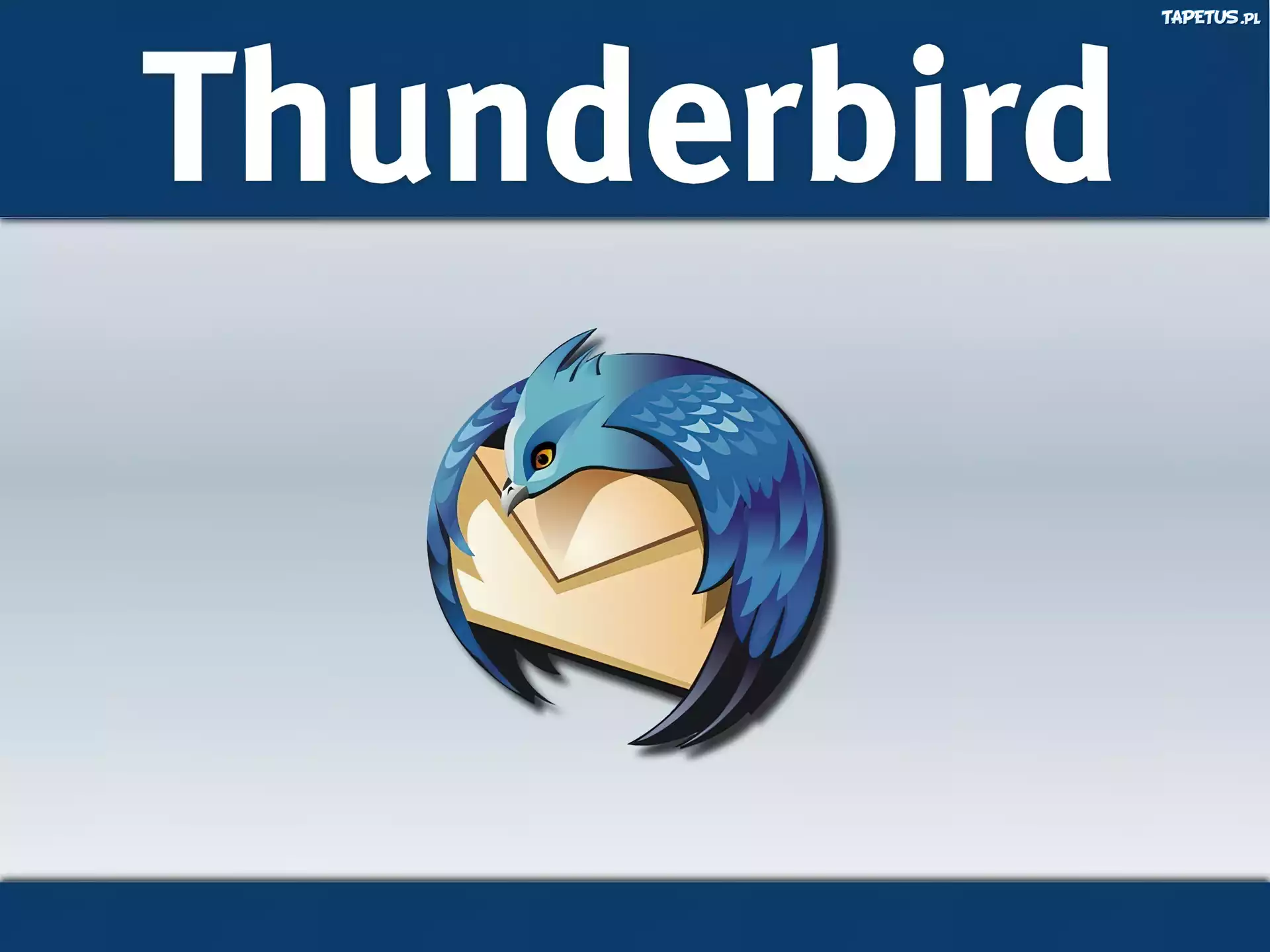 Thunderbird, grafika, koperta, ptak