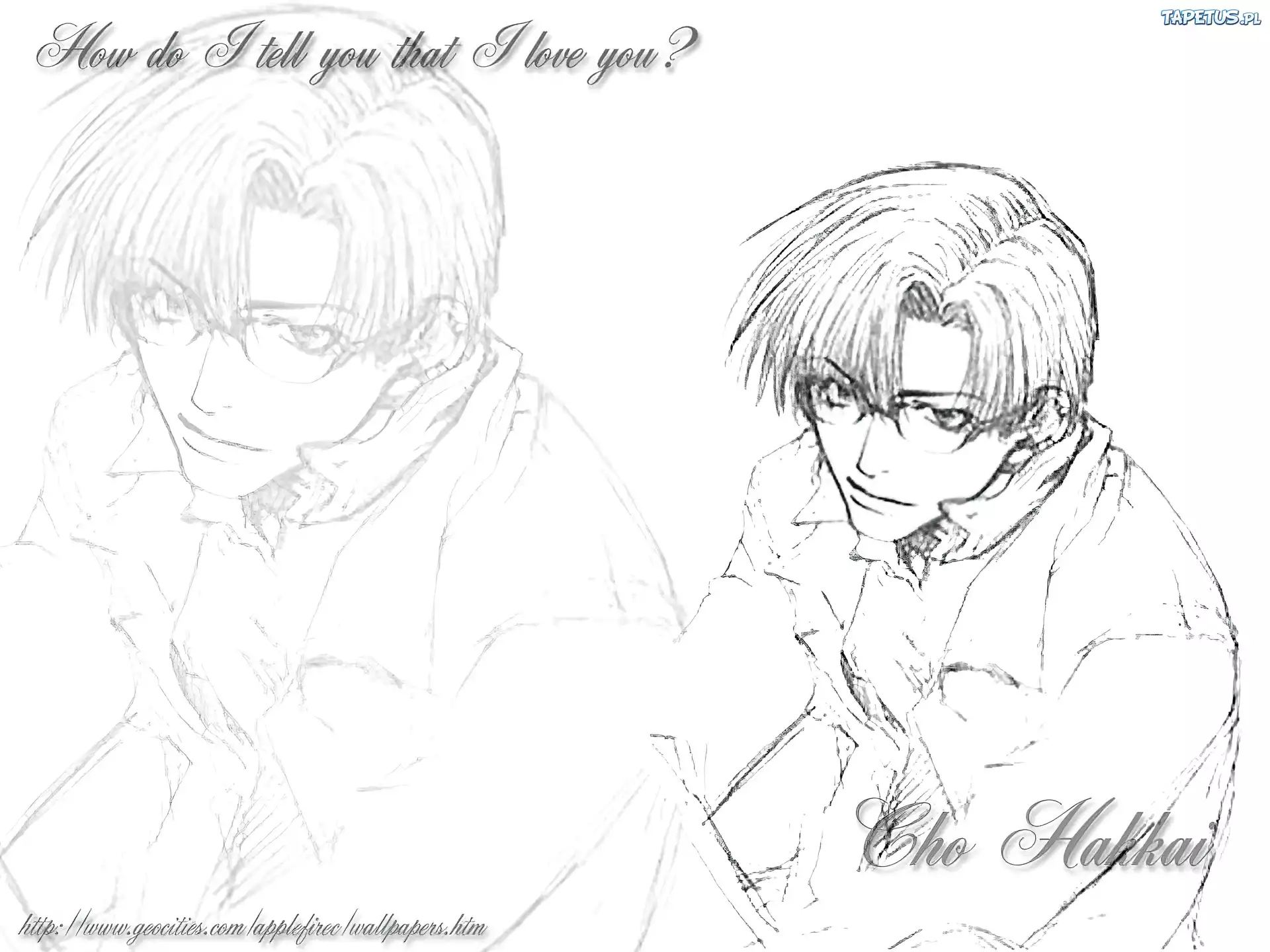 Saiyuki, Cho Hakkai, okulary