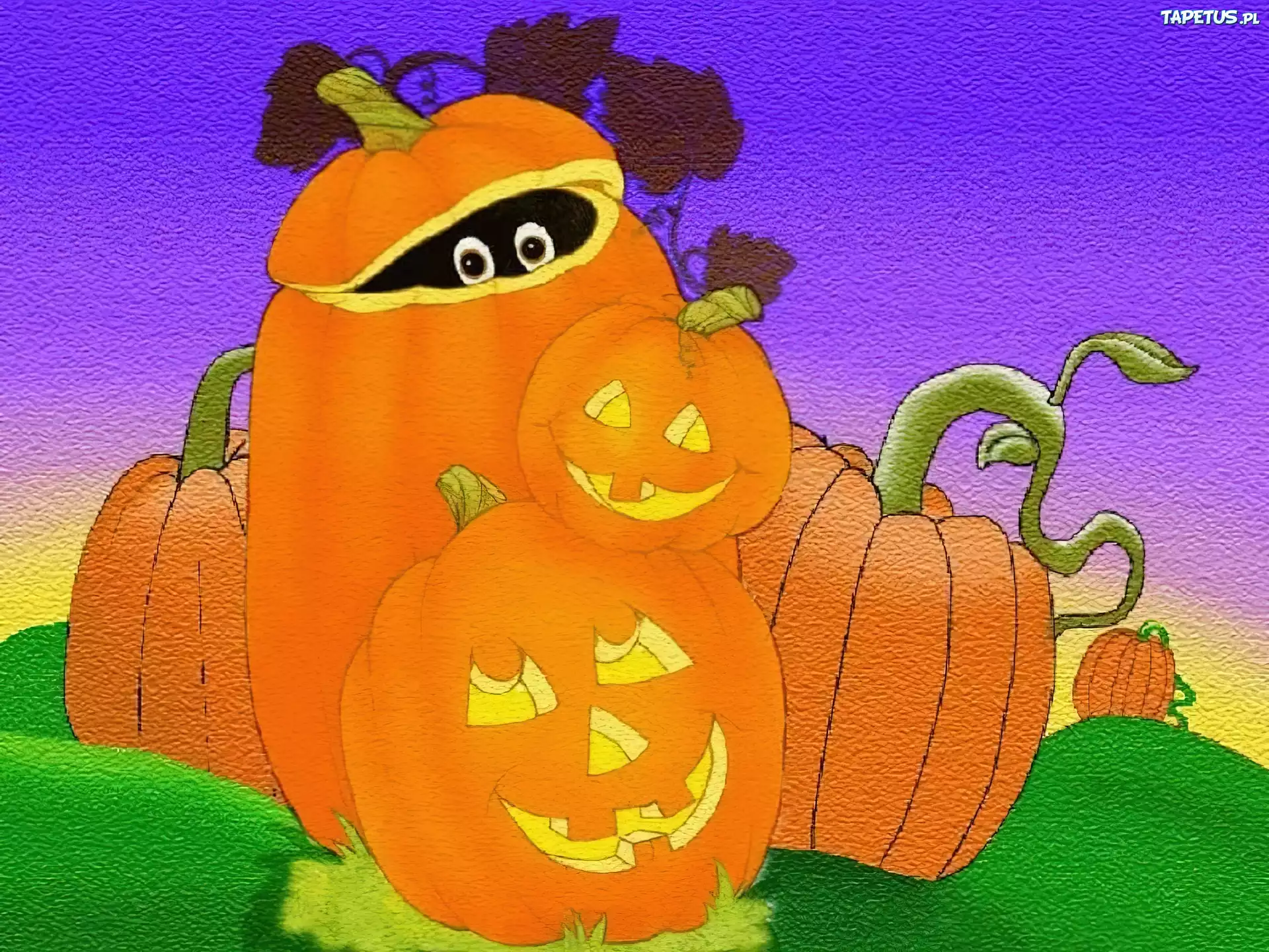 Halloween,wielkie dynie