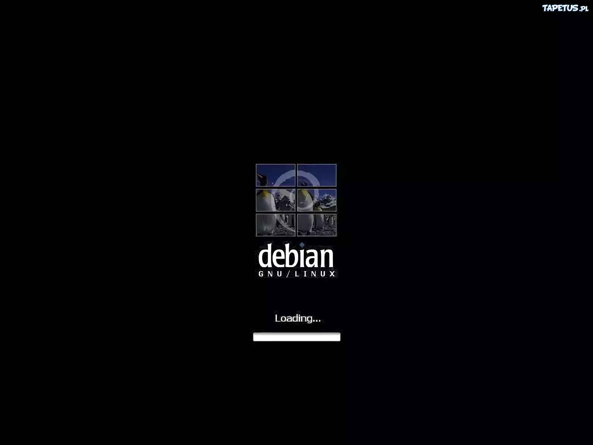 grafika, muszla, ślimak, zawijas, pingwin, Linux Debian