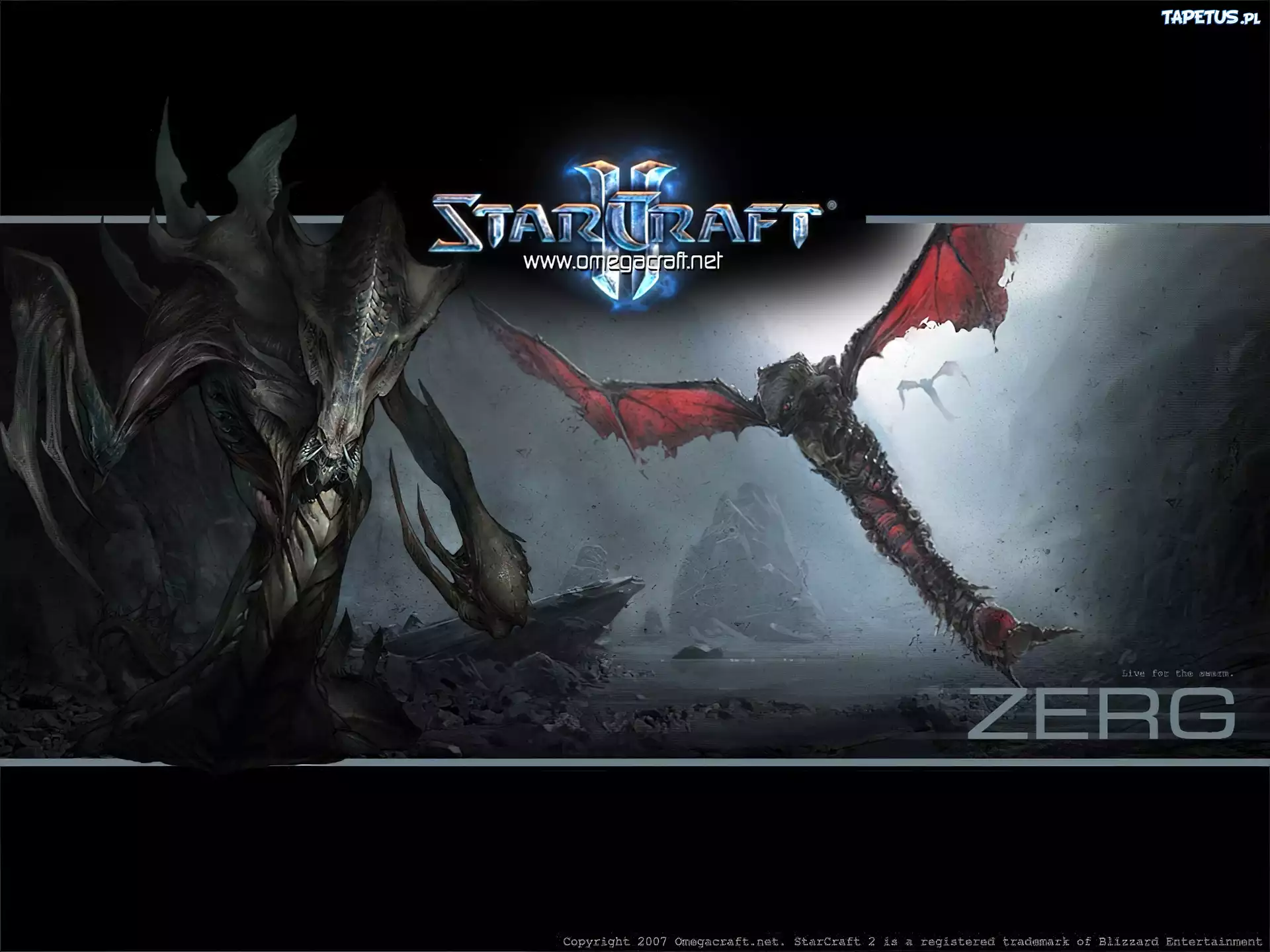 skrzydła, Starcraft 2, grafika, logo