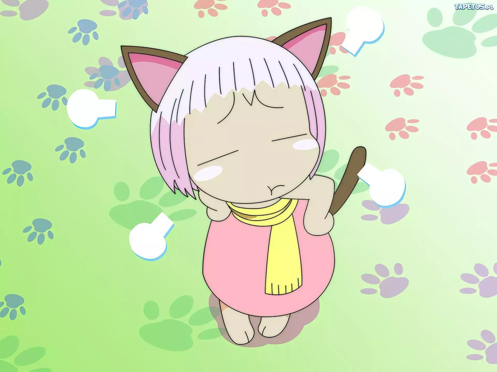 Jungle Wa Itsumo Hale Nochi Guu, dziecko, kot
