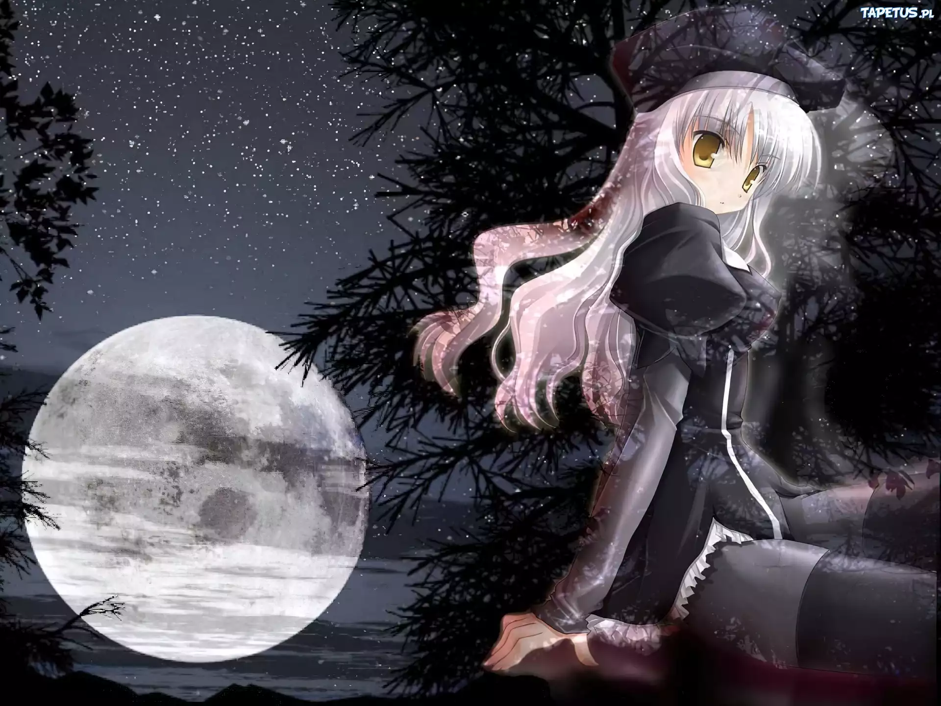 drzewa, Fate Stay Night, dziewczyna, księżyc