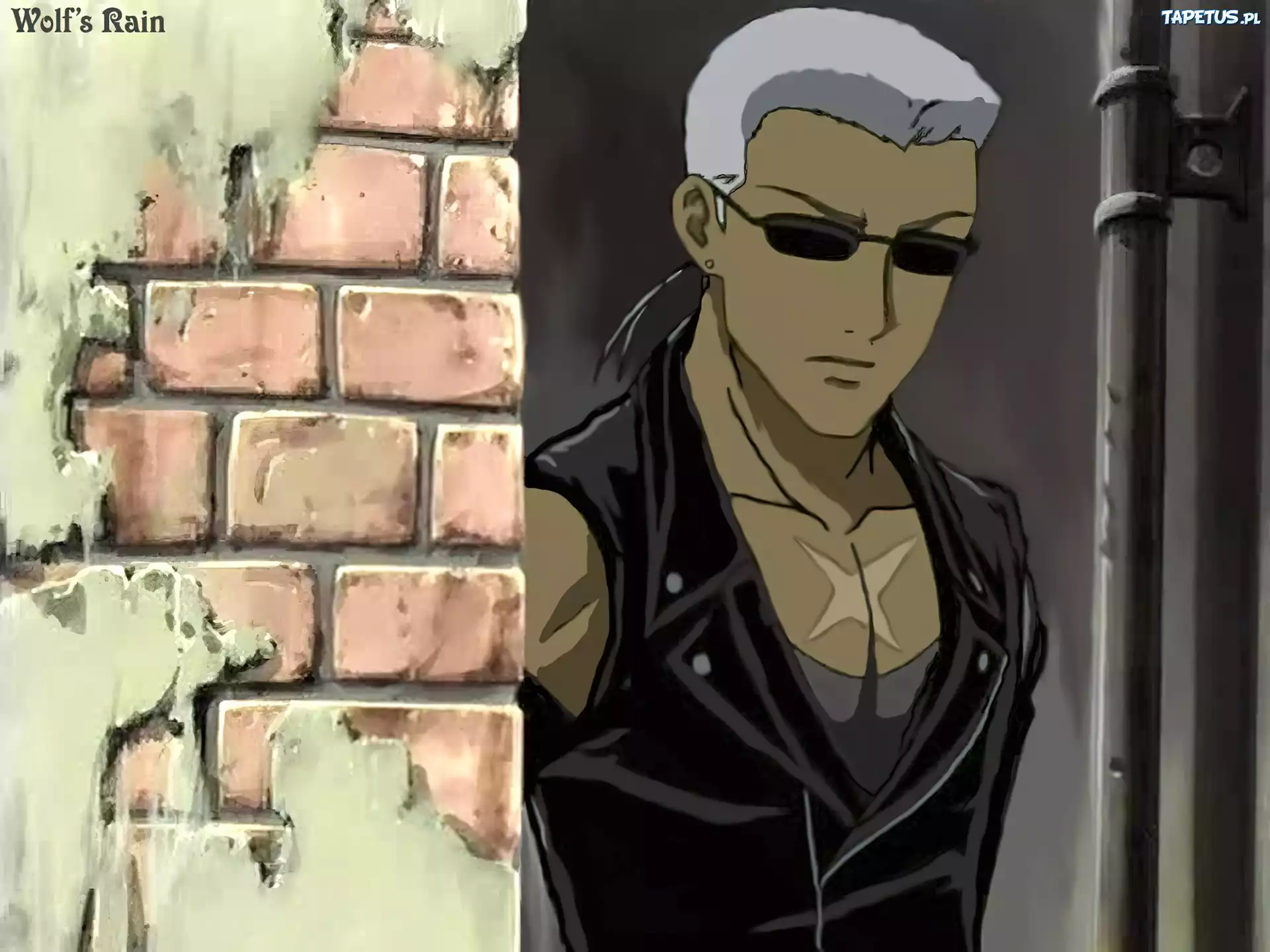 facet, okulary, mur, Wolfs Rain
