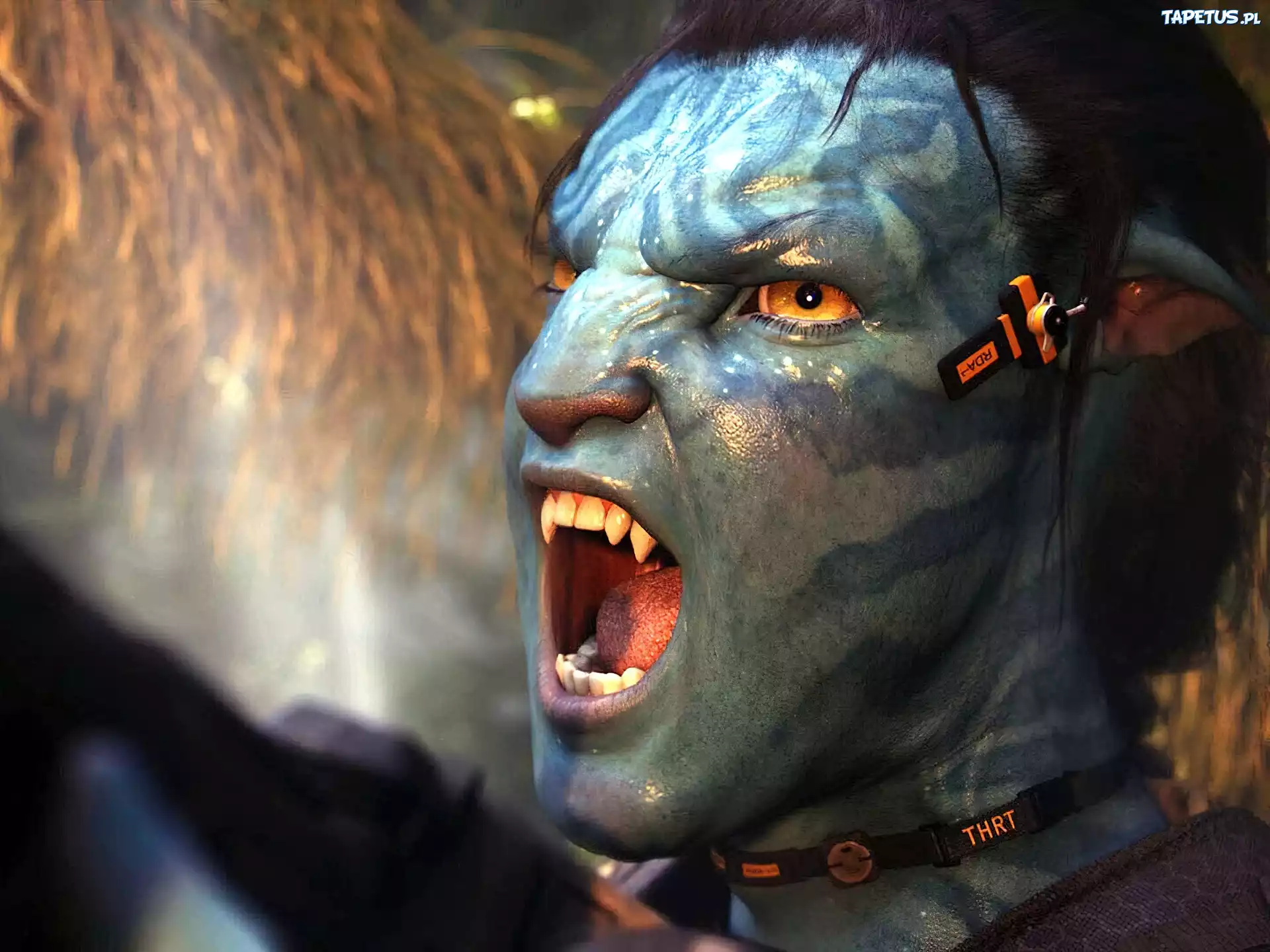 Avatar, Buzia