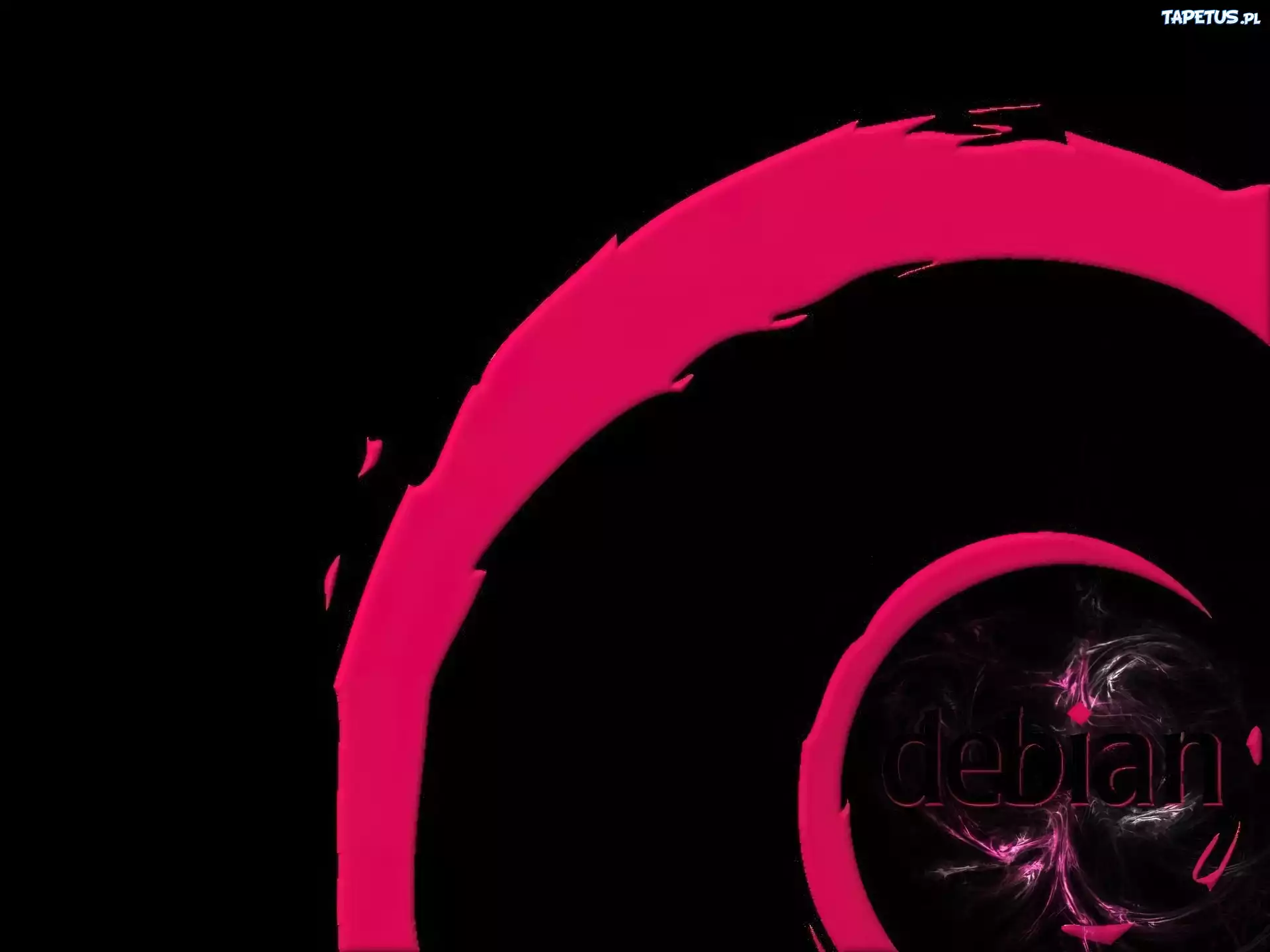 grafika, muszla, ślimak, zawijas, Linux Debian