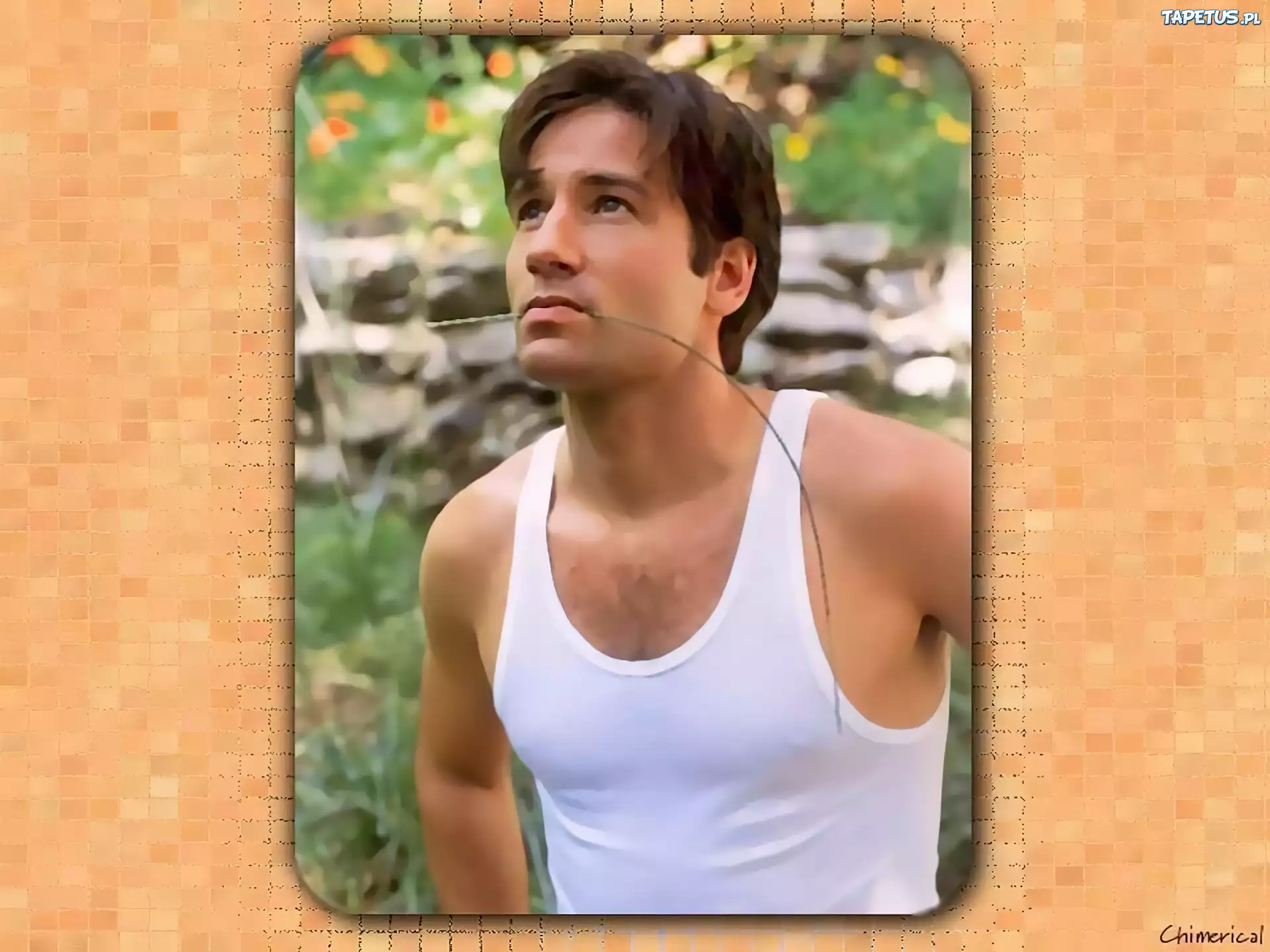 David Duchovny,biała koszulka