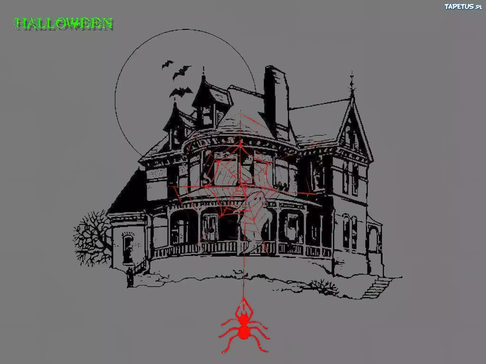 Halloween,pająk