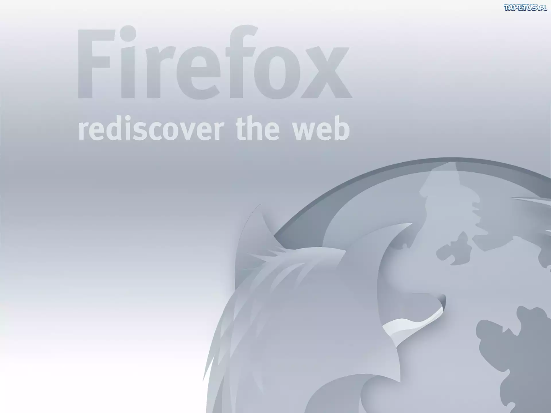 lis, przeglądarka, ziemia, grafika, FireFox