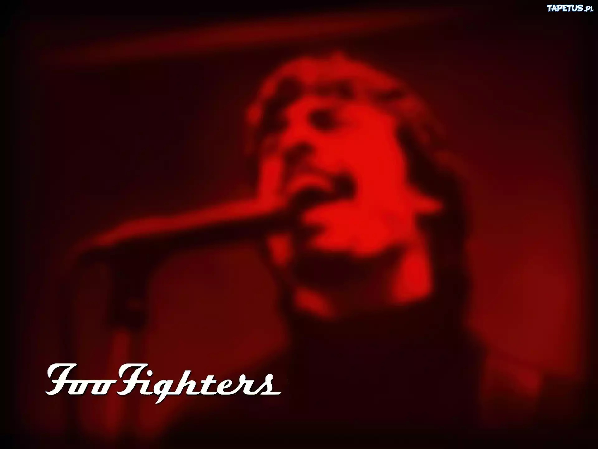Foo Fighters,wokalista, mikrofon