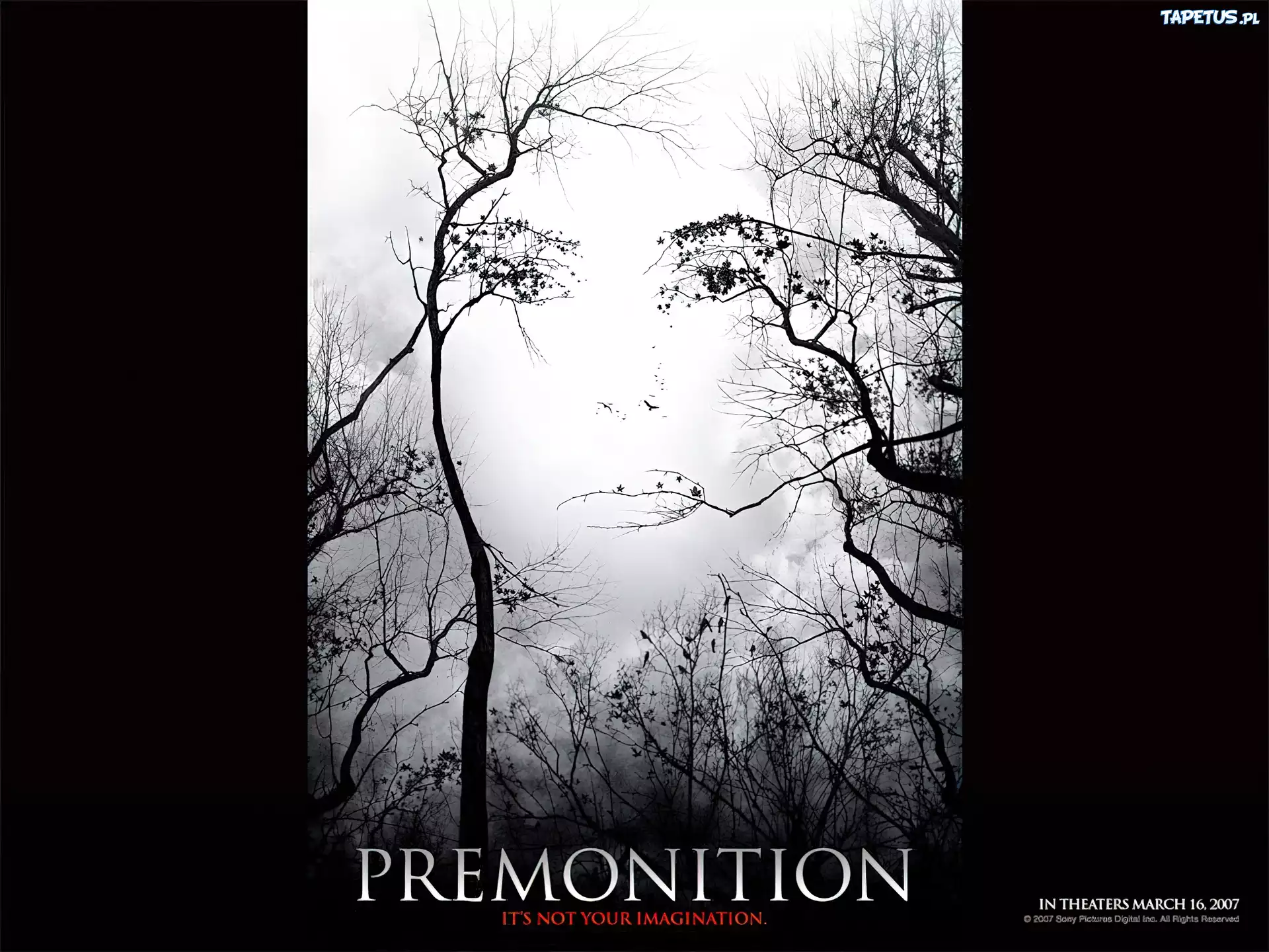 Premonition, gałęzie, twarz