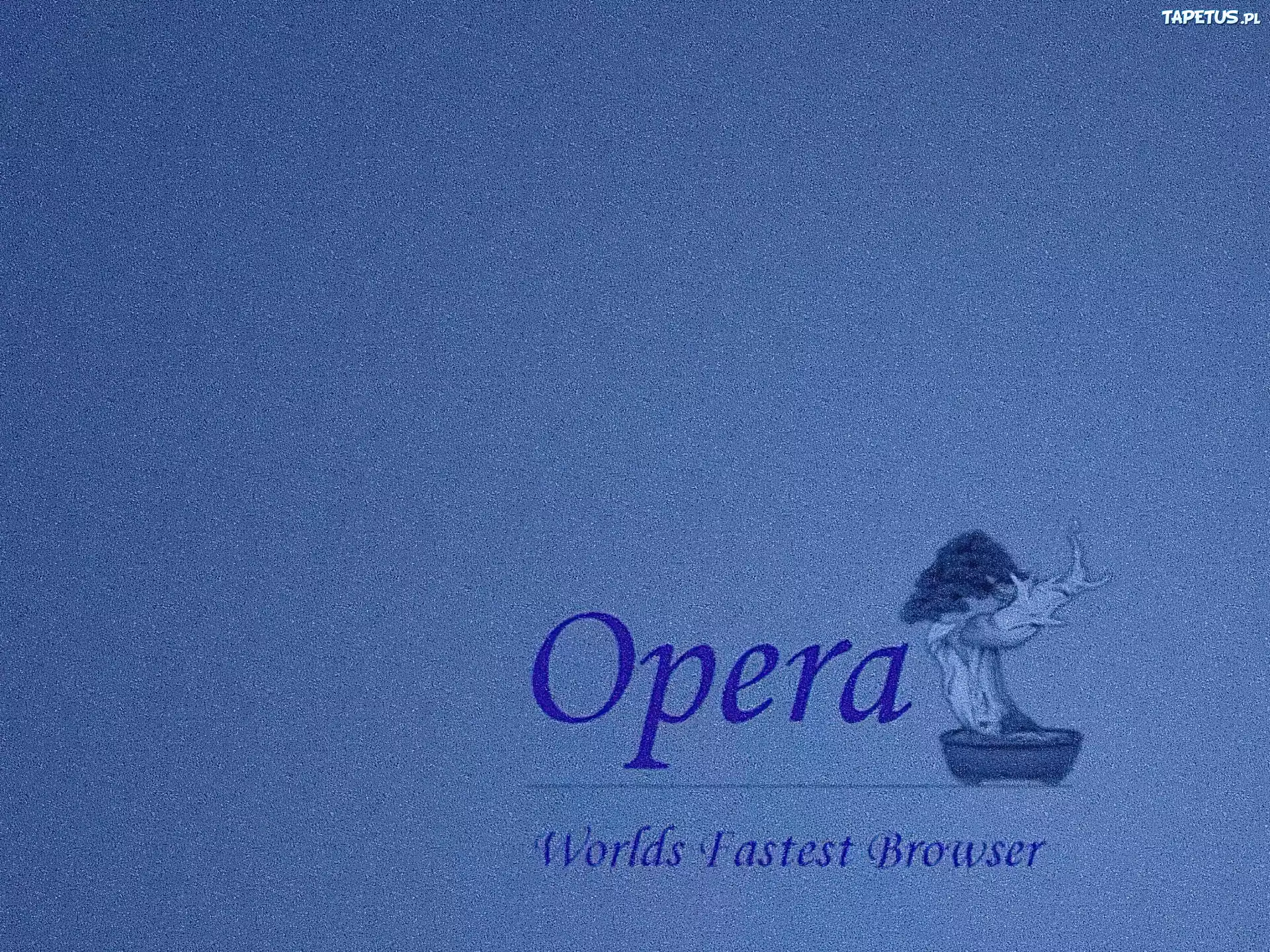 Opera, bosai, drzewo, grafika
