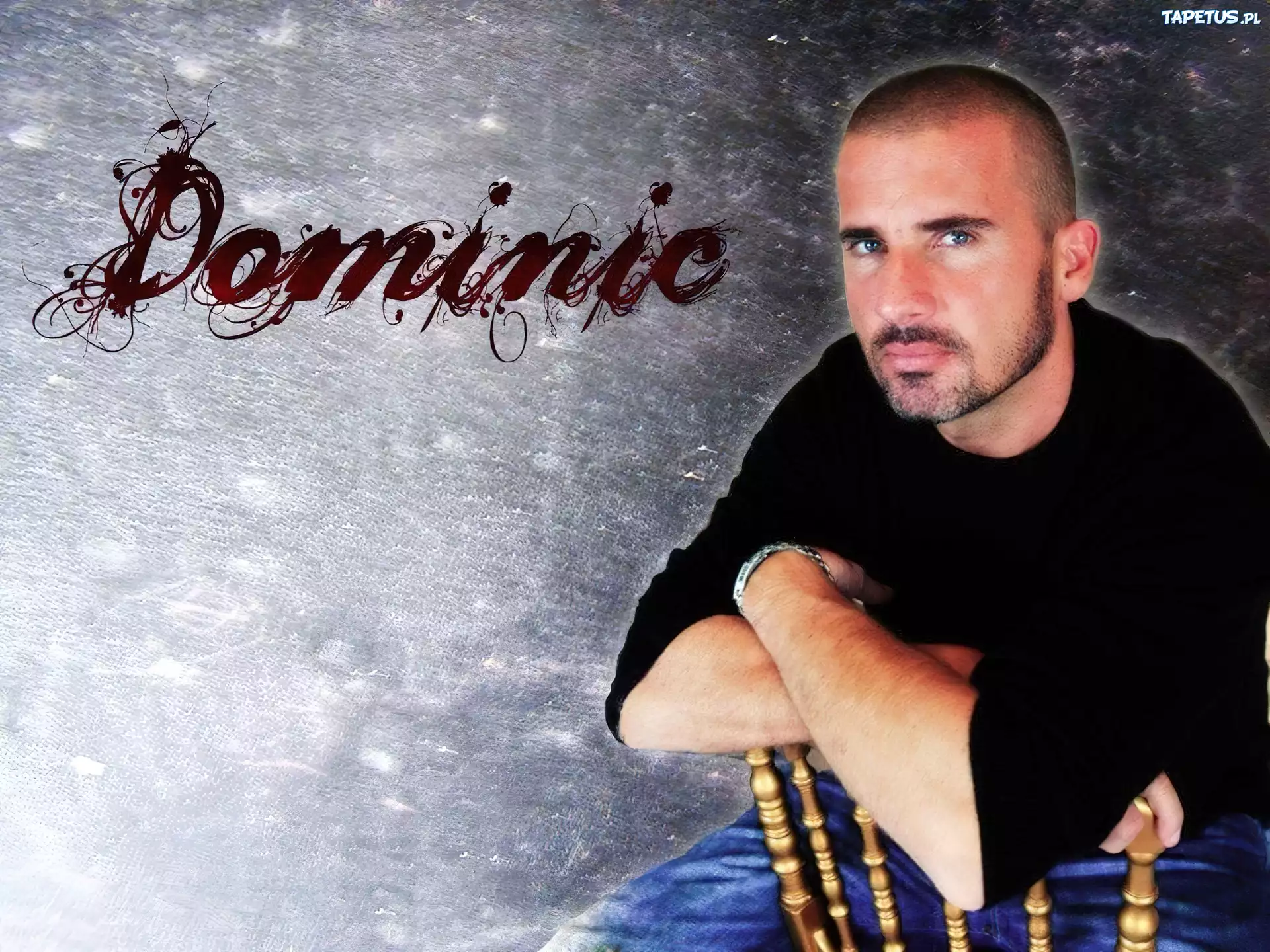 Dominic Purcell,niebieskie oczy, bródka