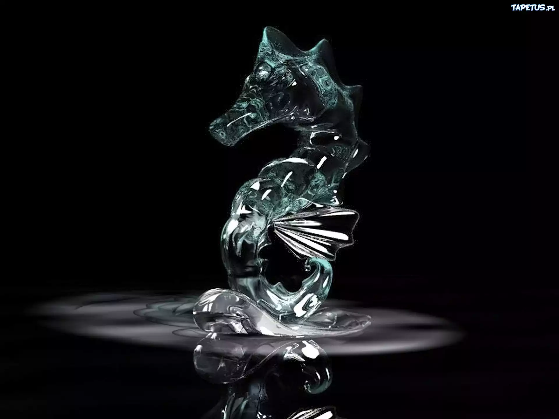3D, Wektorowa,konik, morski