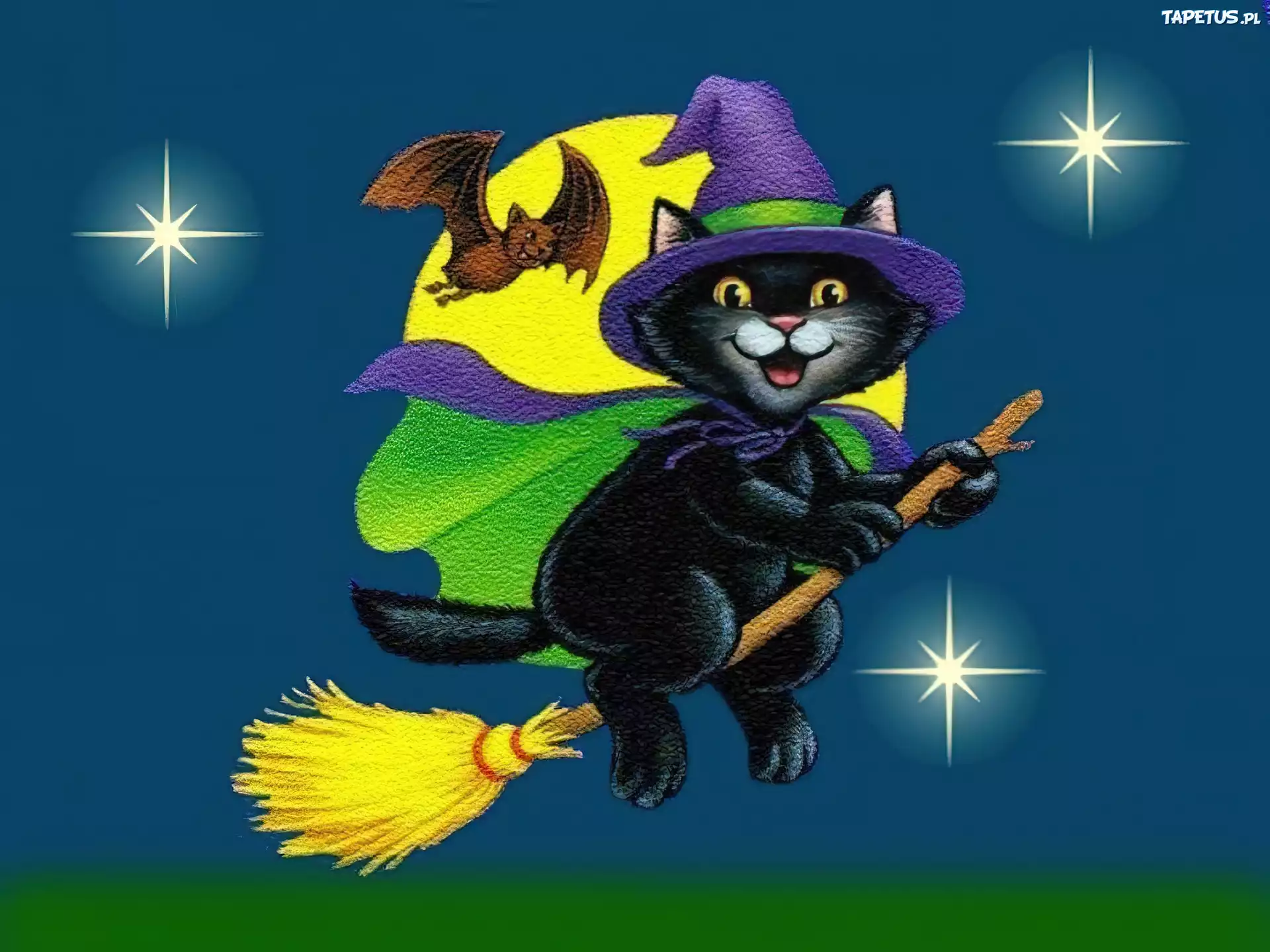 Halloween,nietoperz , kot na miotle