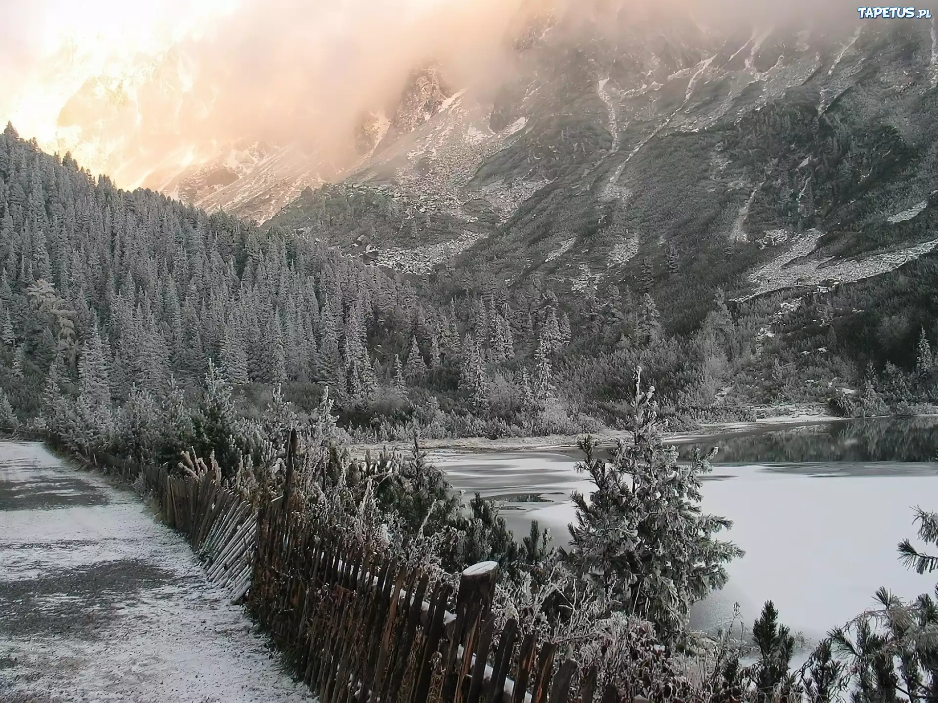 Góry,choinki, mróz