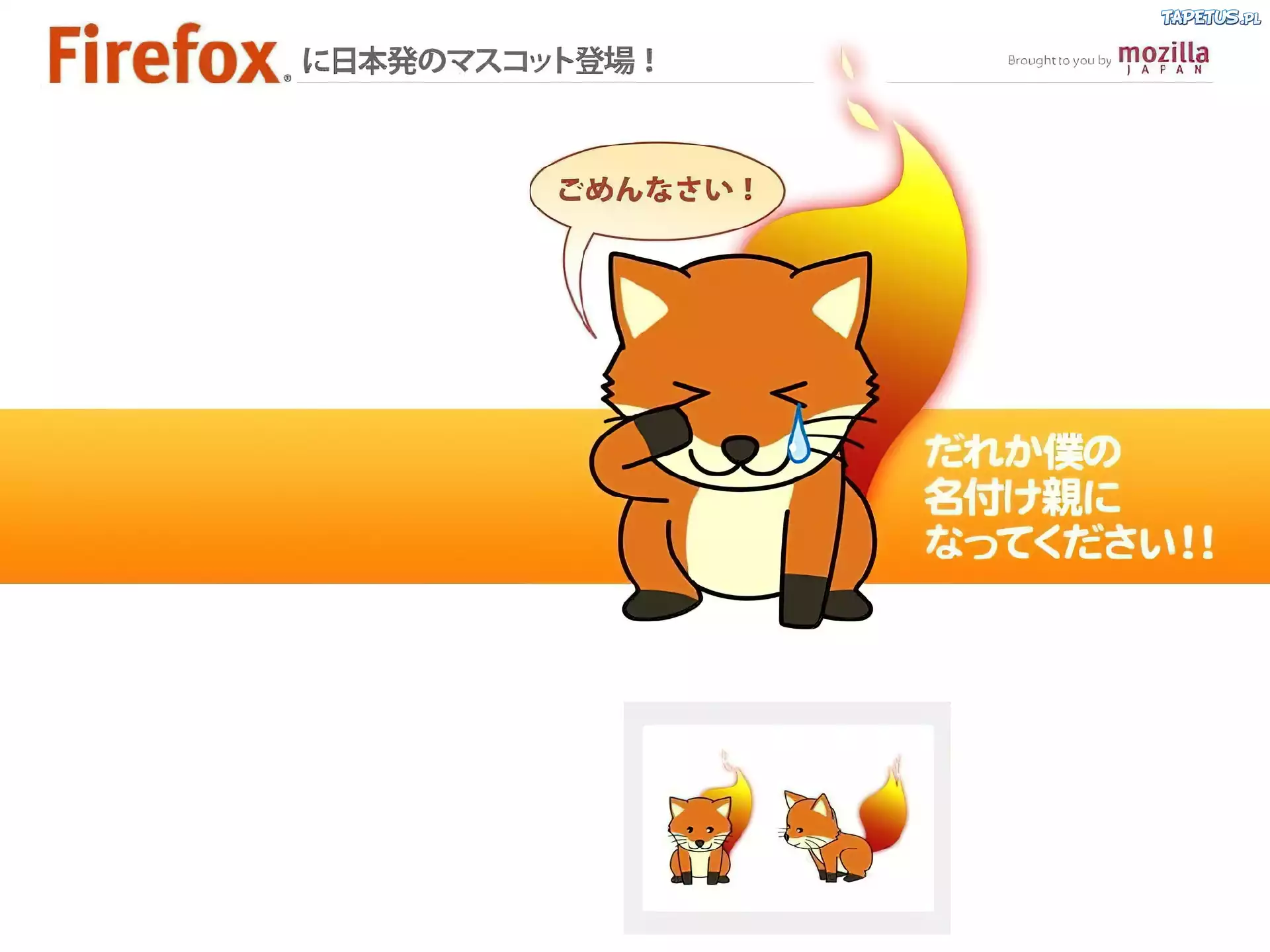 lis, grafika, ogień, FireFox
