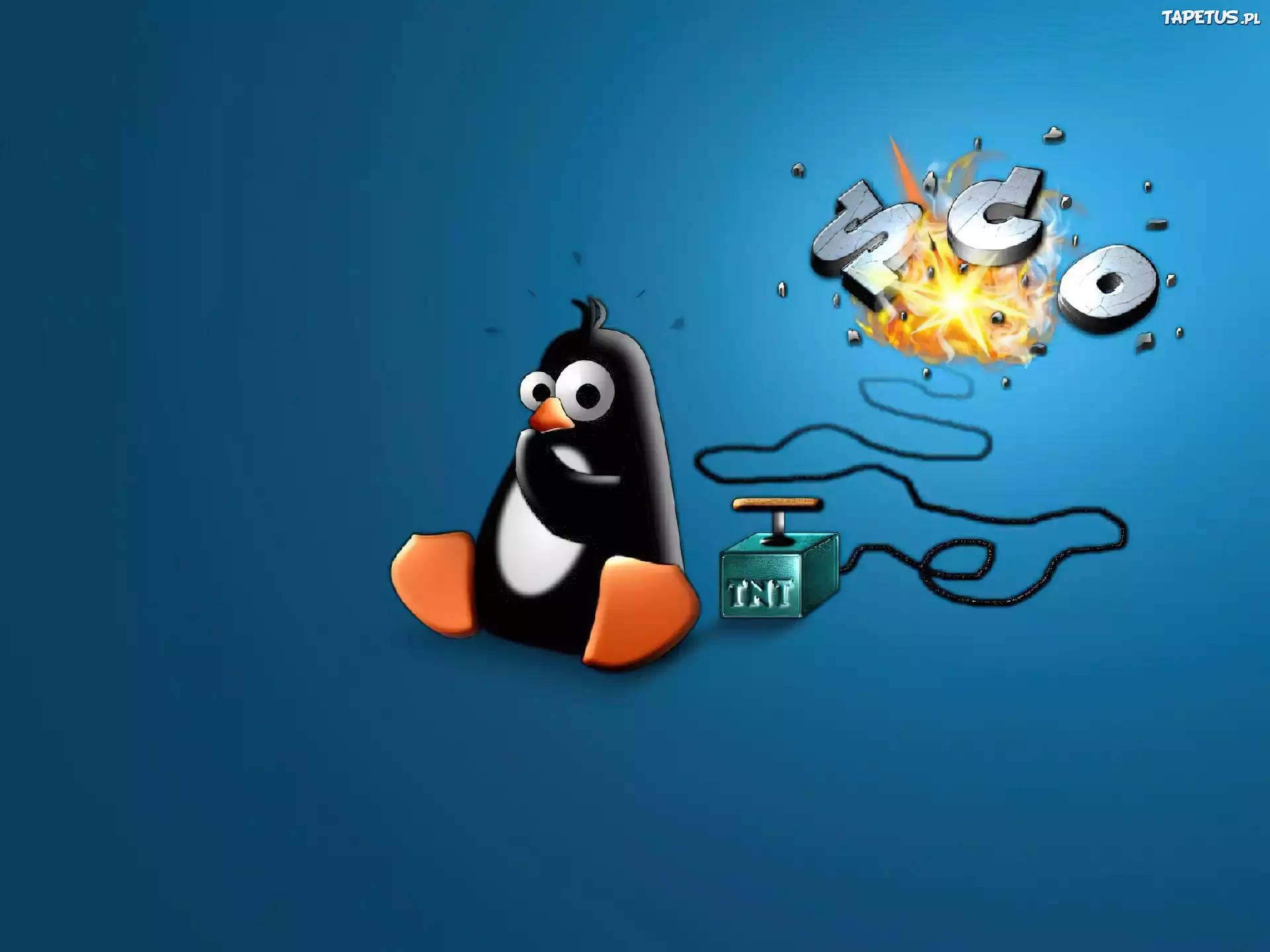 Linux, grafika, pingwin, detonator
