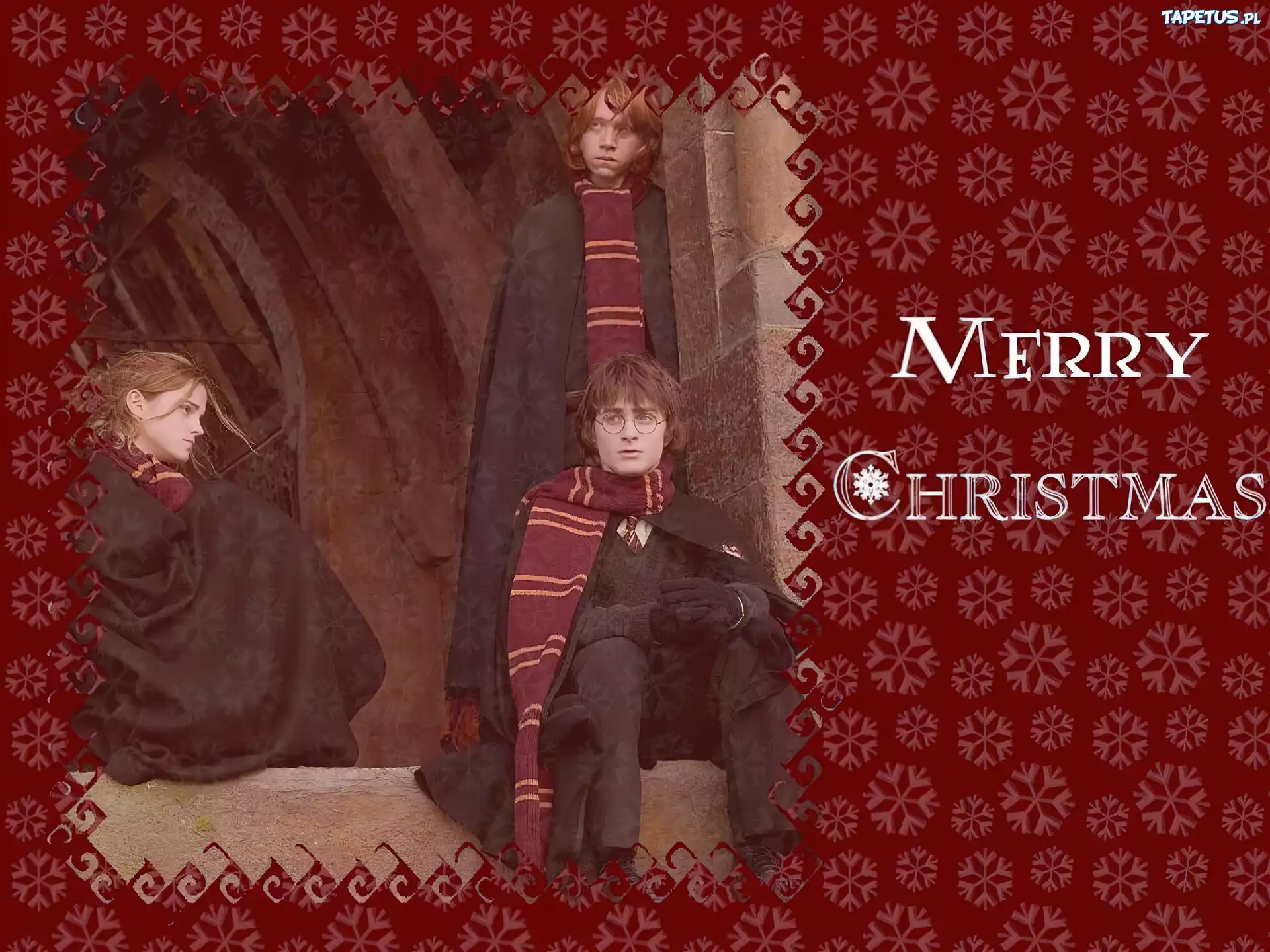 Boże Narodzenie, Harry Potter