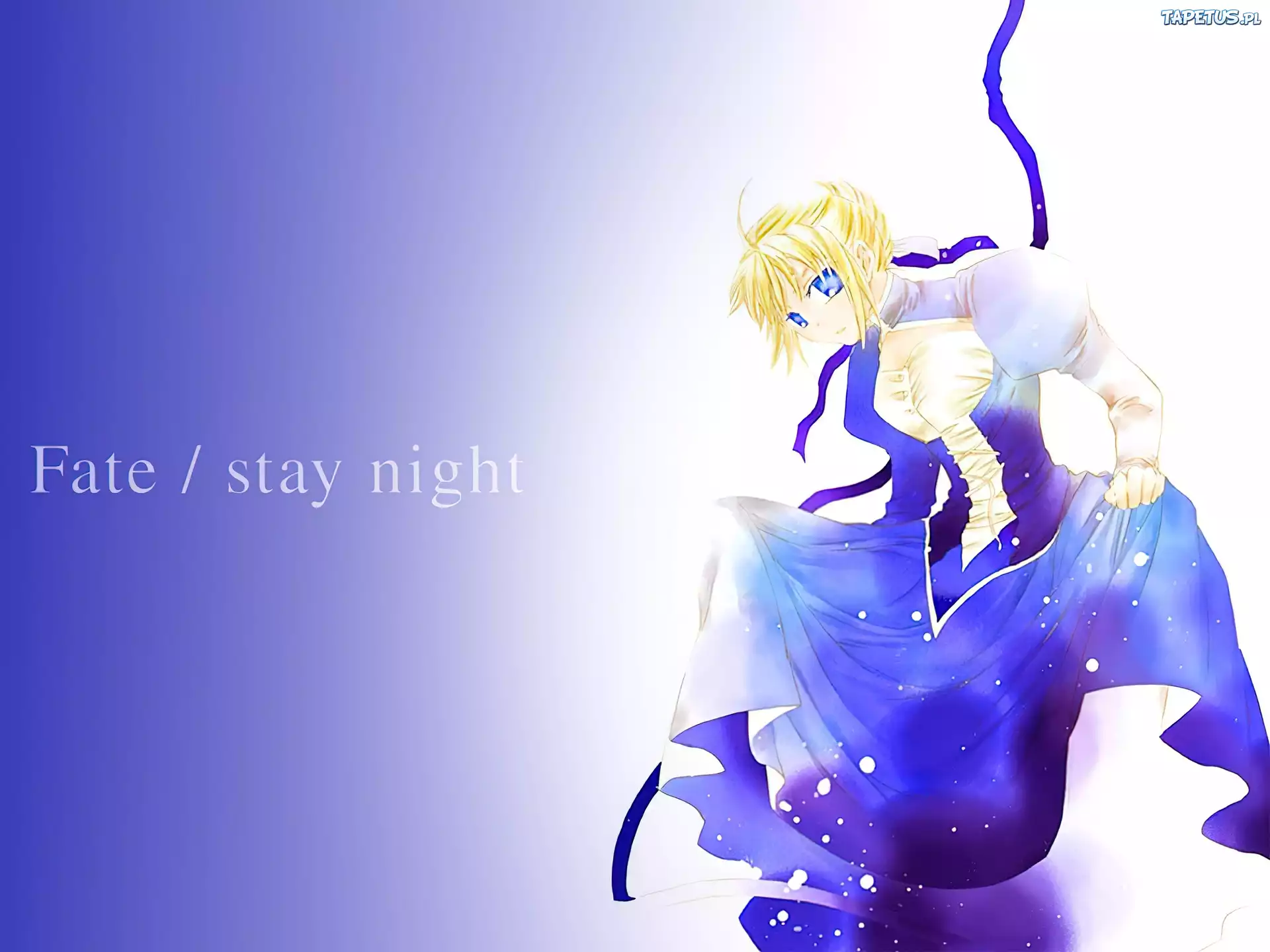 Fate Stay Night, kobieta, suknia
