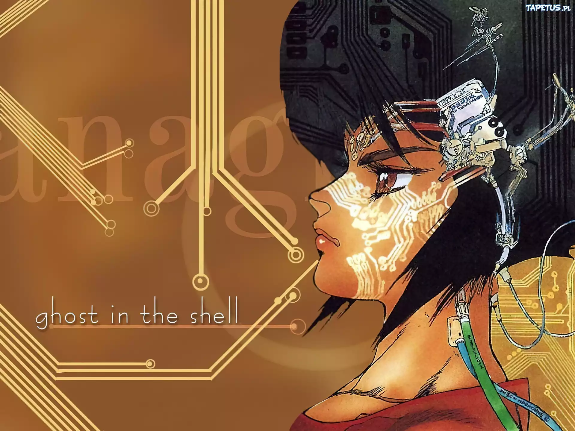Ghost In The Shell, kobieta, twarz, kable