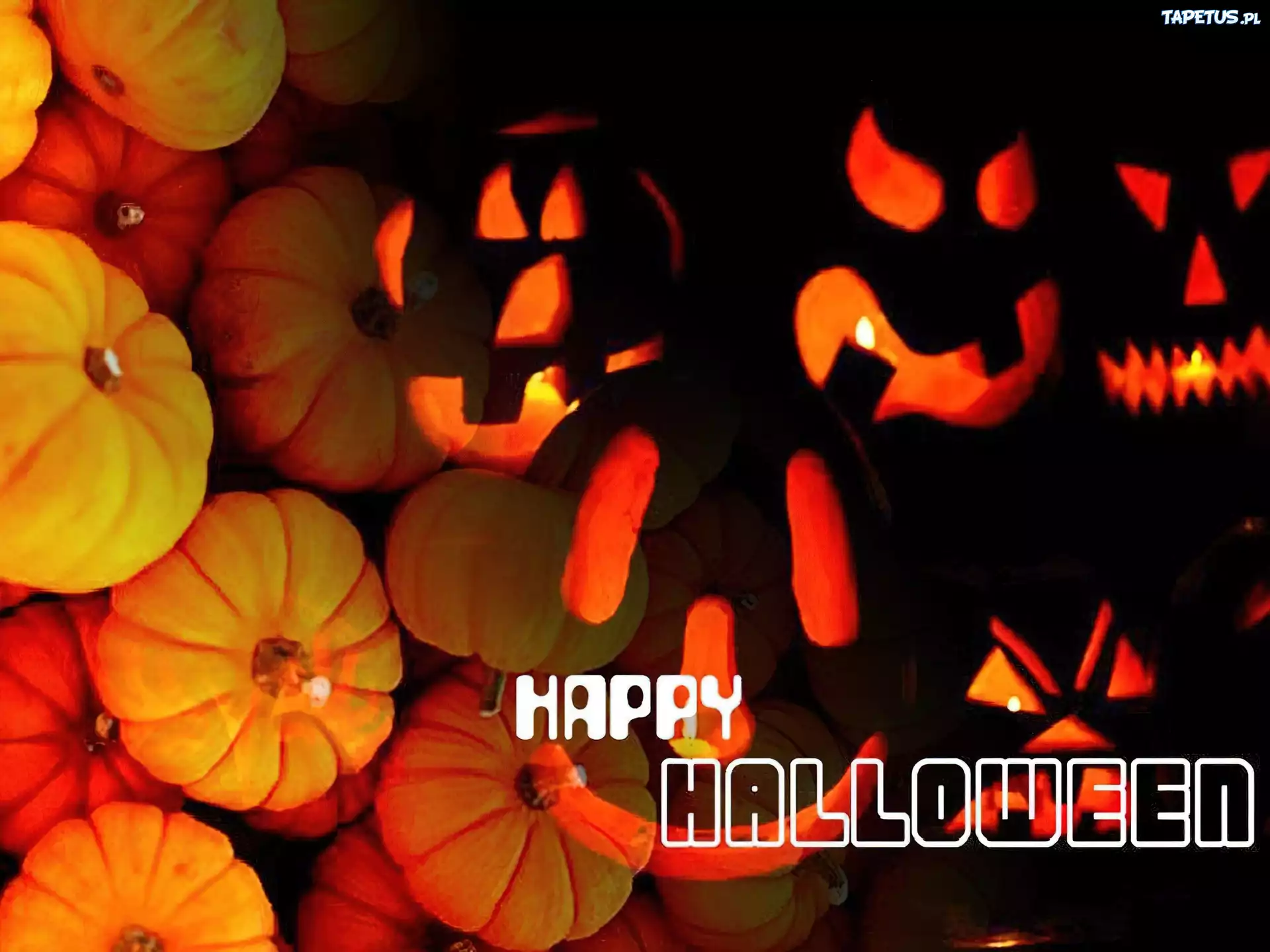 Halloween,dynie