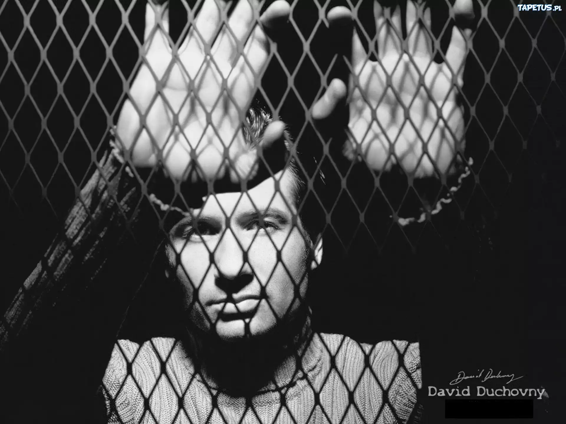 David Duchovny,twarz, ręce