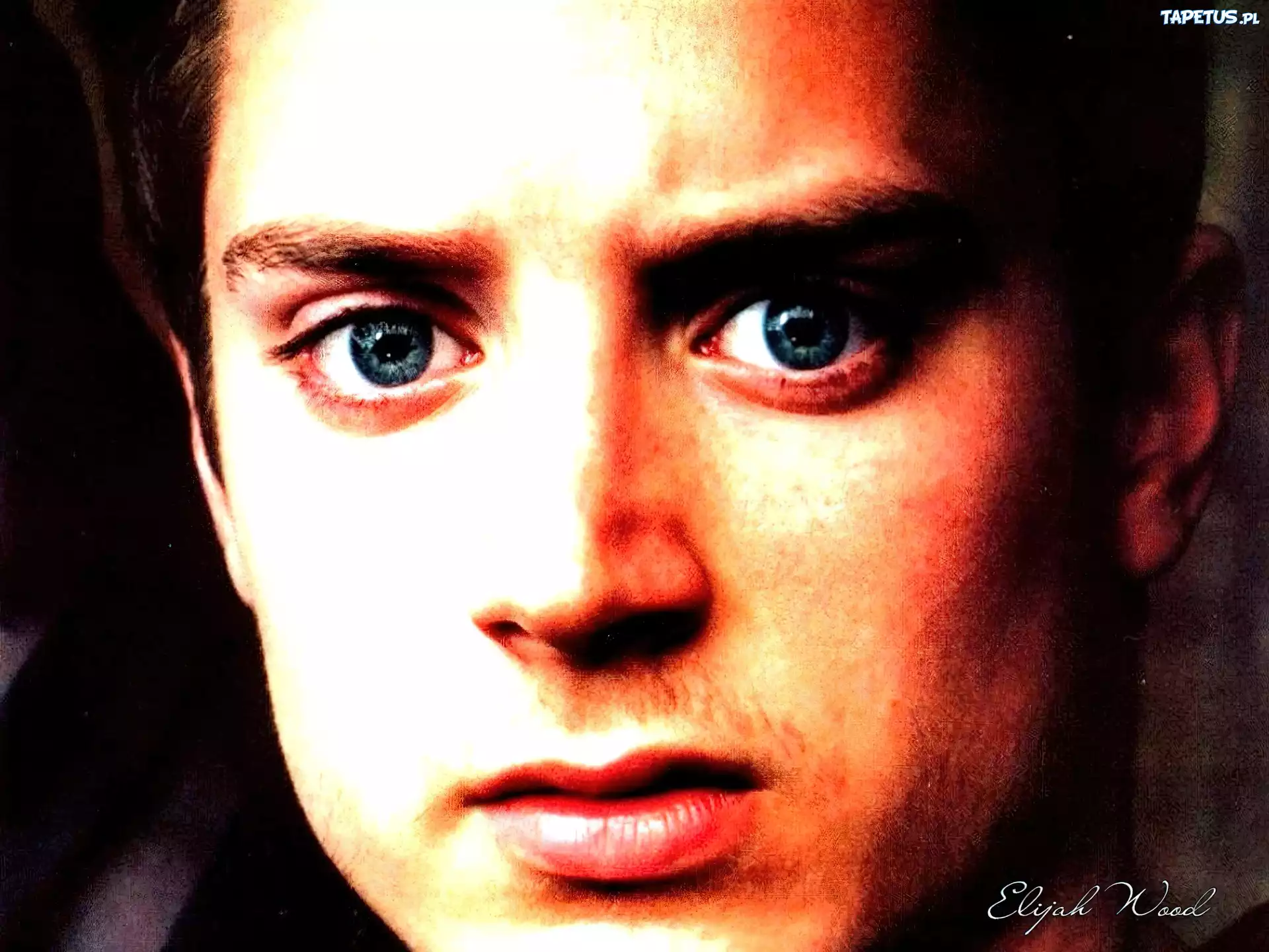 Elijah Wood,niebieskie oczy, twarz