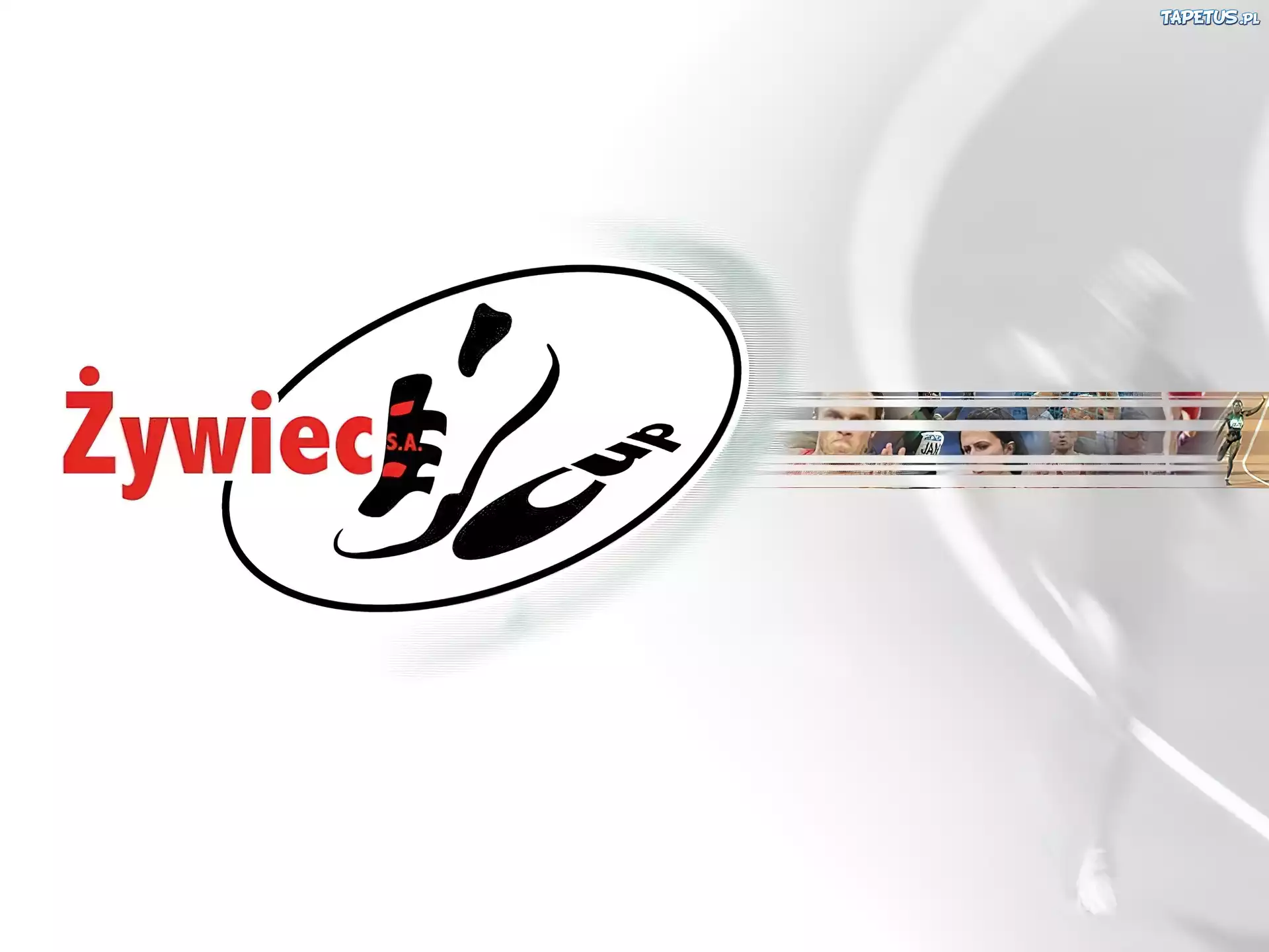 Piwo,Żywiec
